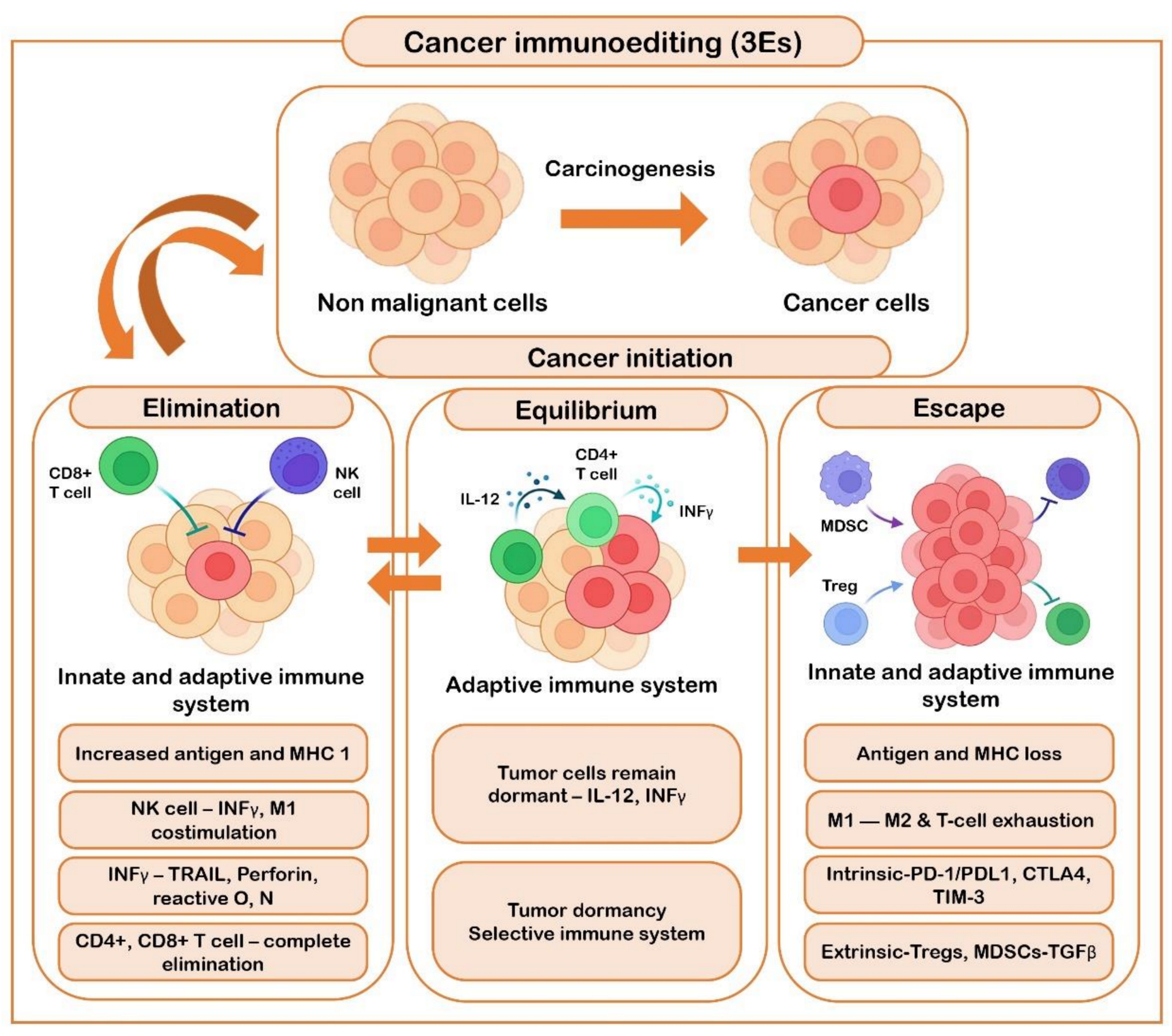 Life 12 01807 g004 Life 12 01807 g004