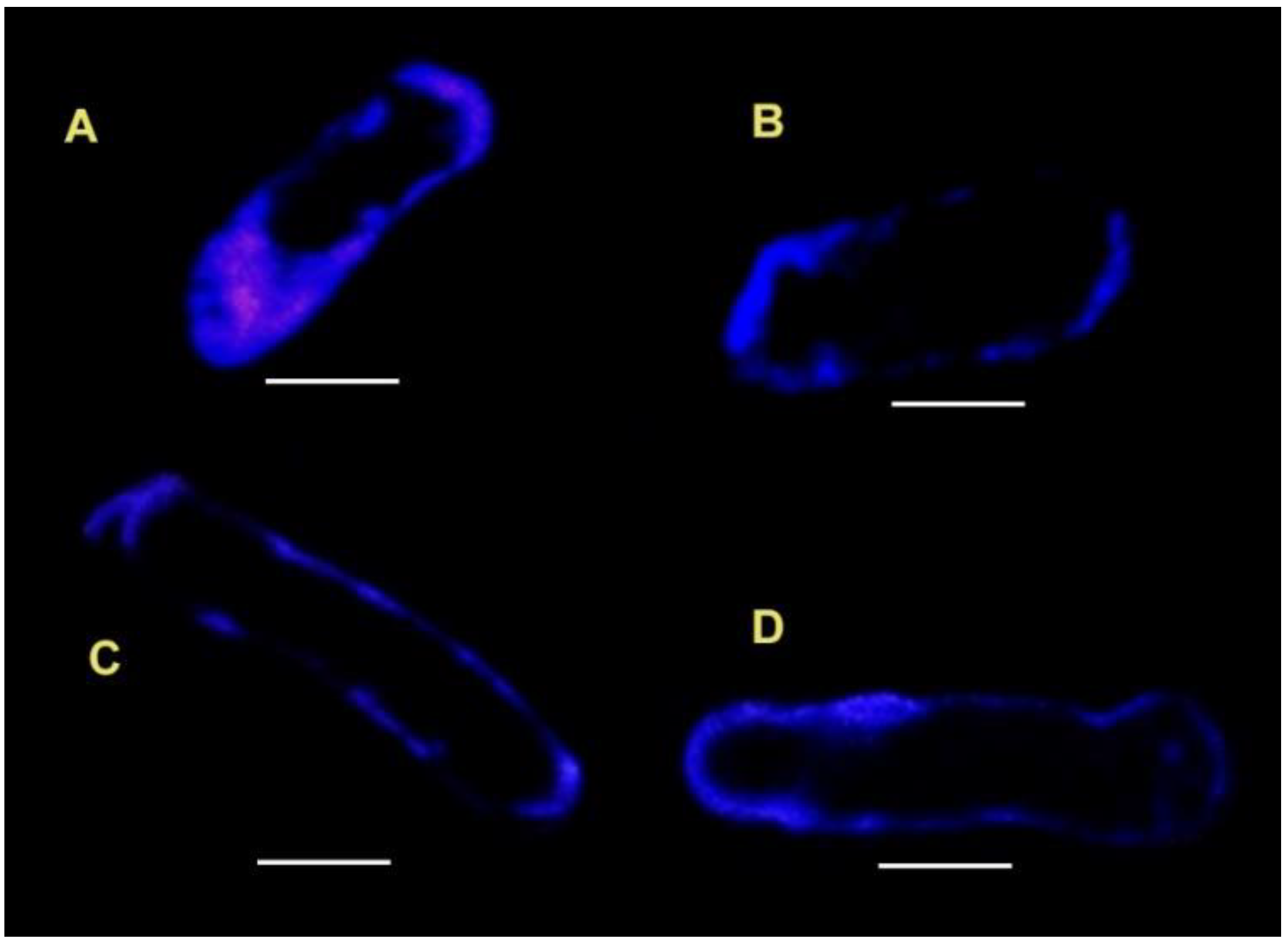 Life 12 01809 g003 Life 12 01809 g003