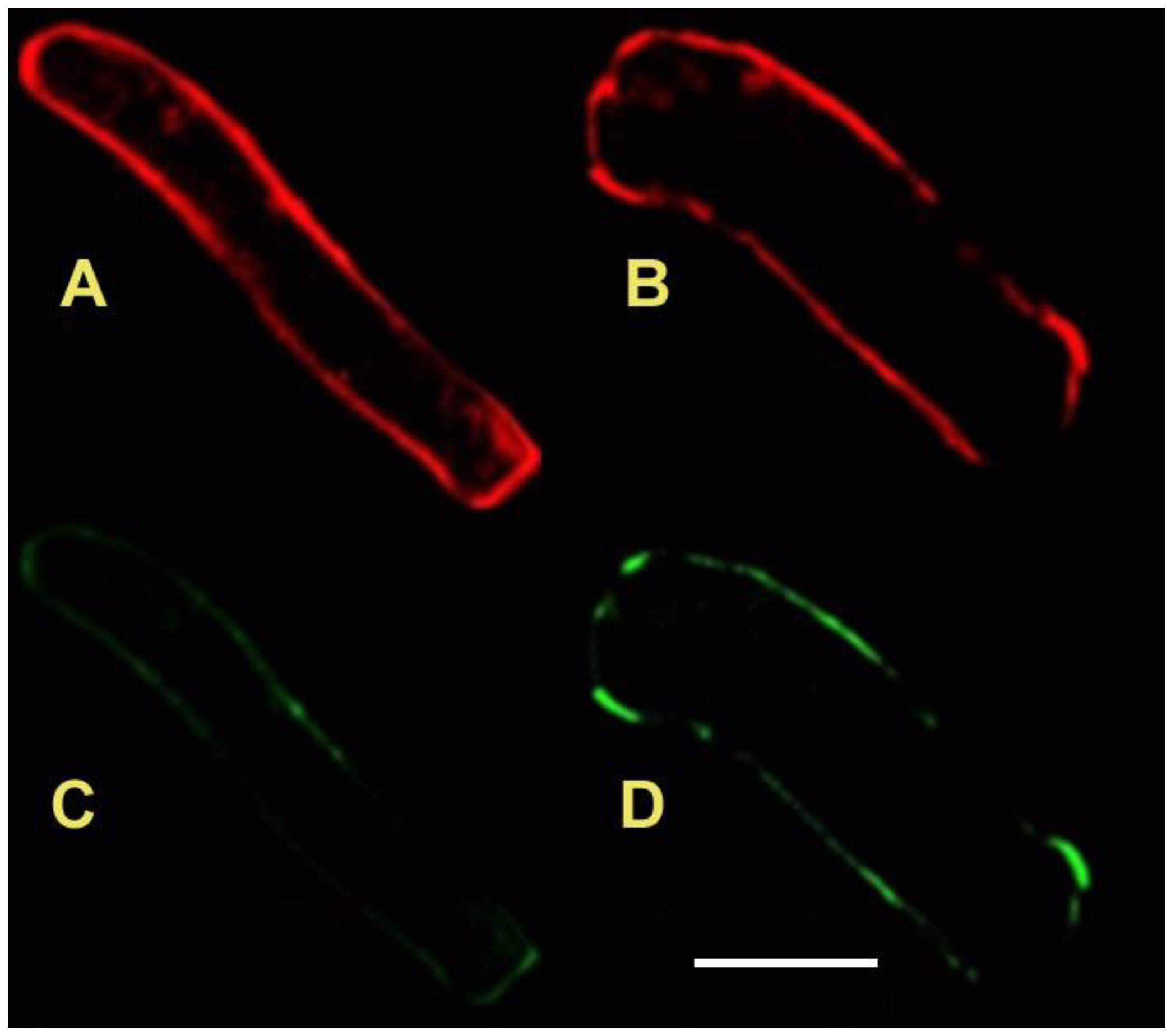 Life 12 01809 g004 Life 12 01809 g004