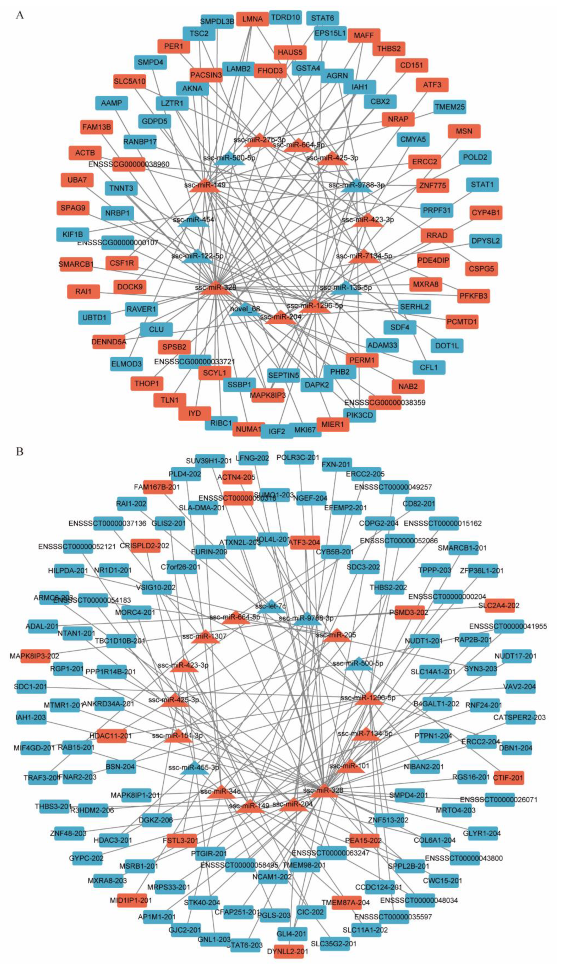Life 12 01814 g005 Life 12 01814 g005