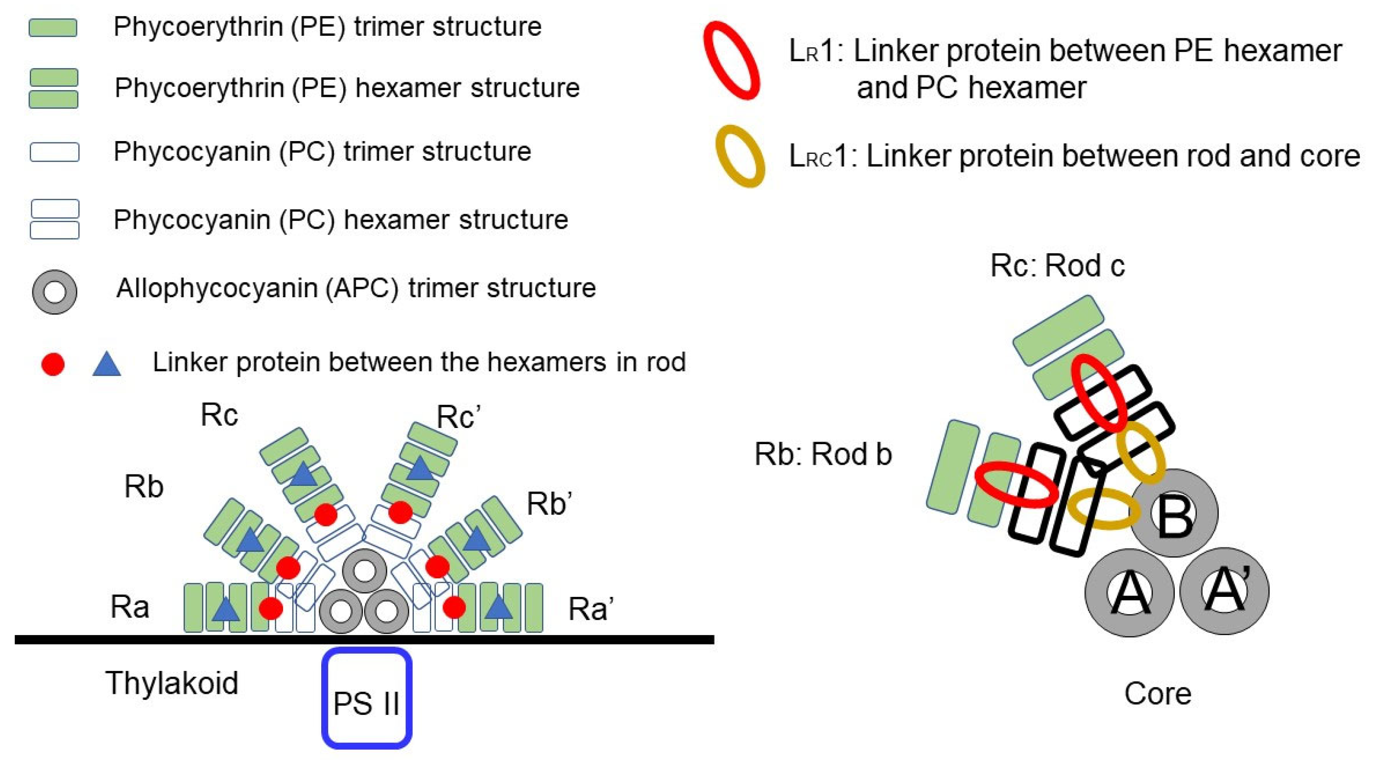 Life 12 01833 g002 Life 12 01833 g002