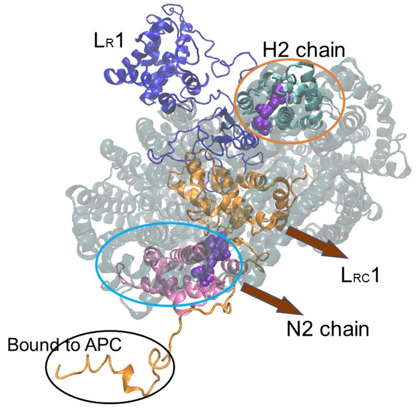 Life 12 01833 g006 Life 12 01833 g006