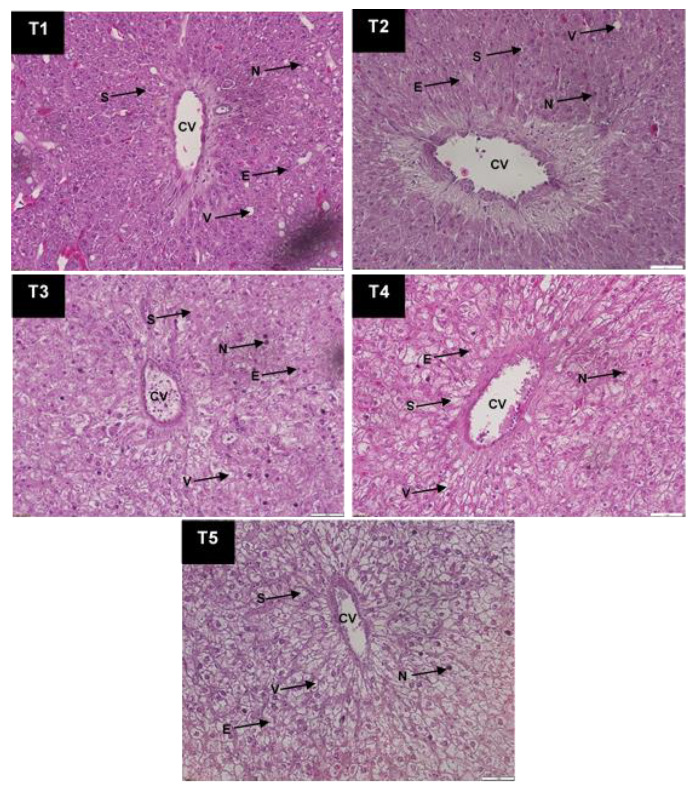 Life 12 01851 g001 Life 12 01851 g001