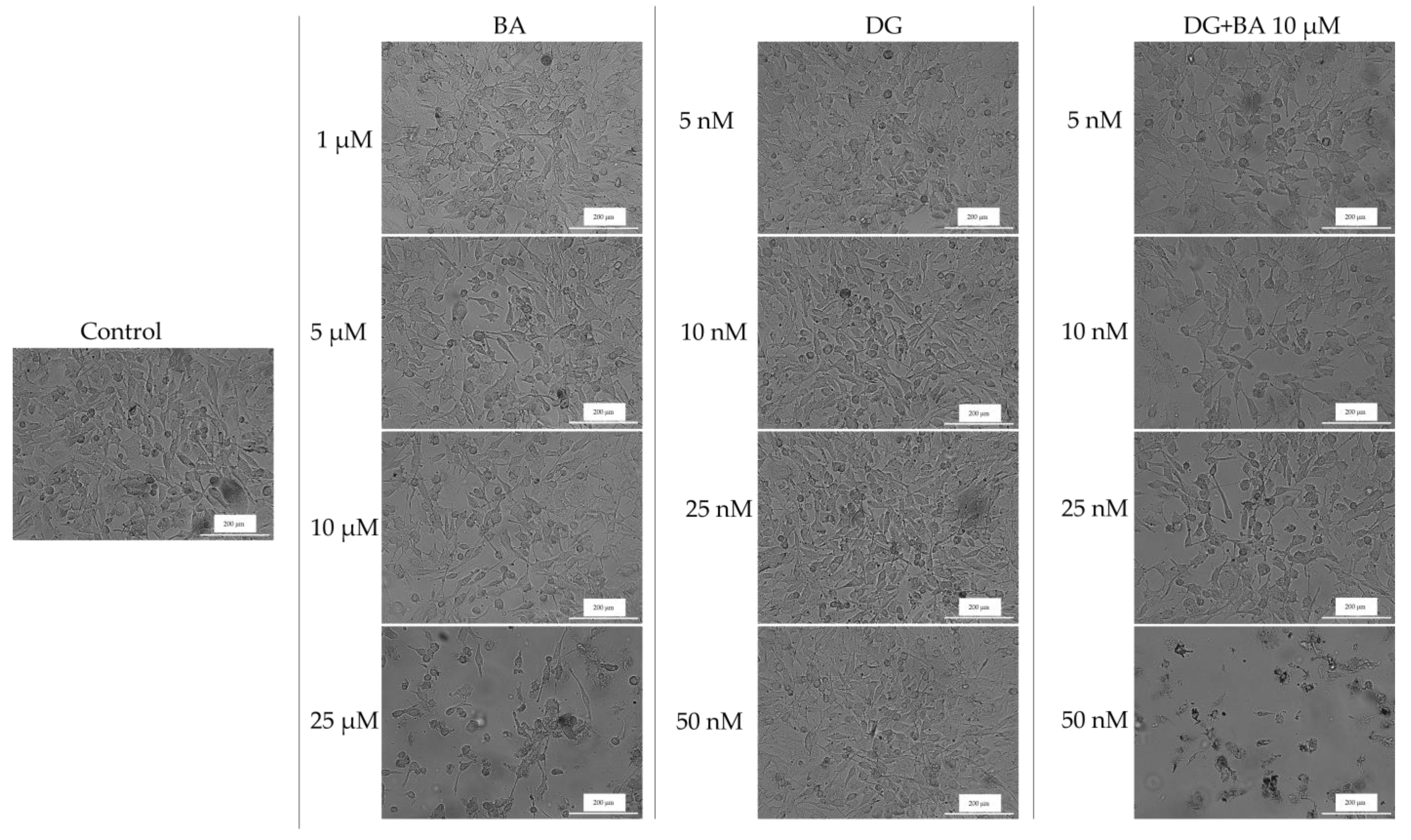 Life 12 01855 g003 Life 12 01855 g003