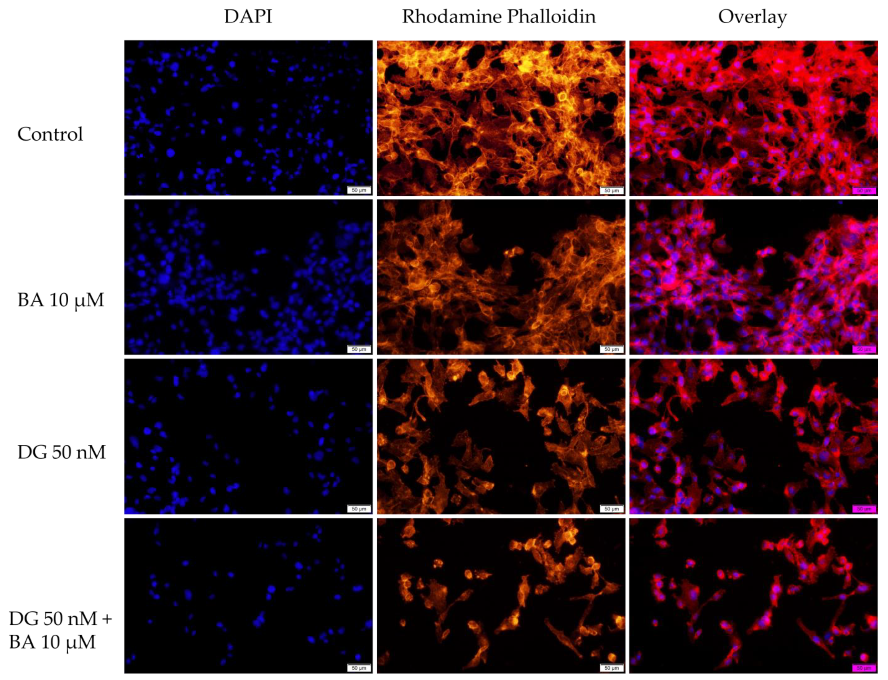 Life 12 01855 g006 Life 12 01855 g006