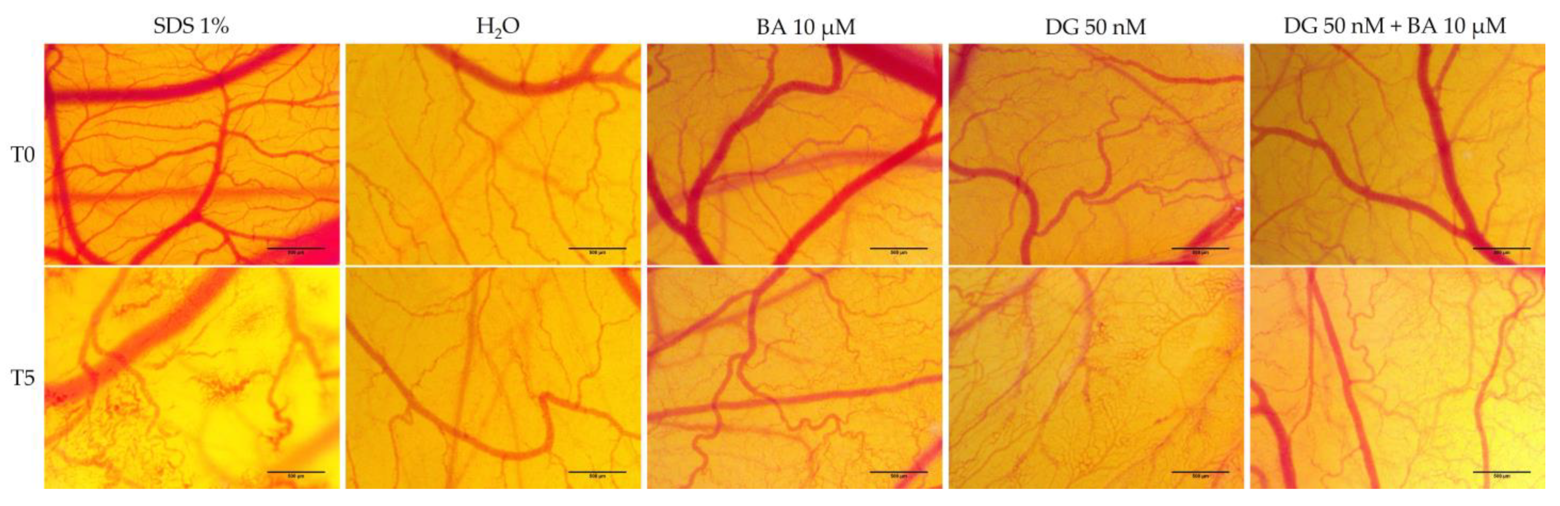 Life 12 01855 g007 Life 12 01855 g007