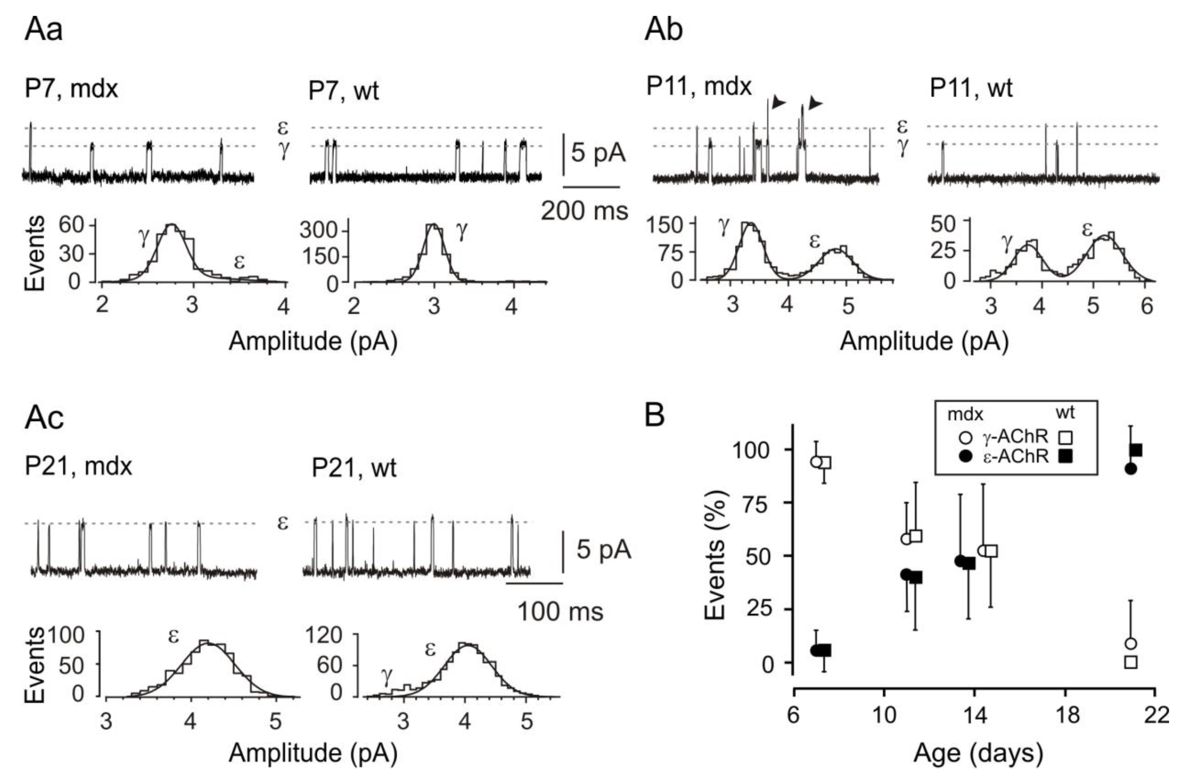 Life 12 01861 g001 Life 12 01861 g001