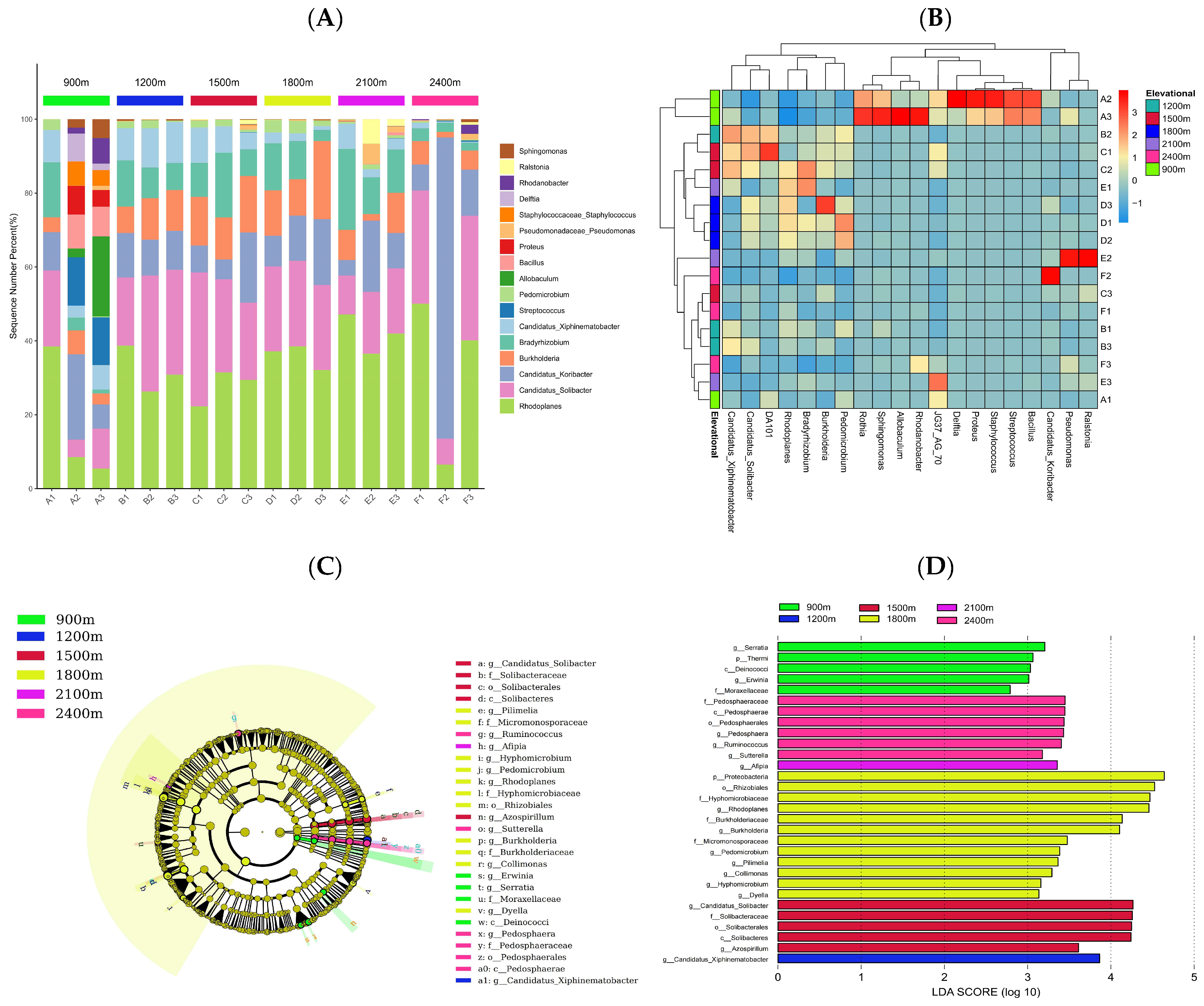 Life 12 01862 g004 Life 12 01862 g004