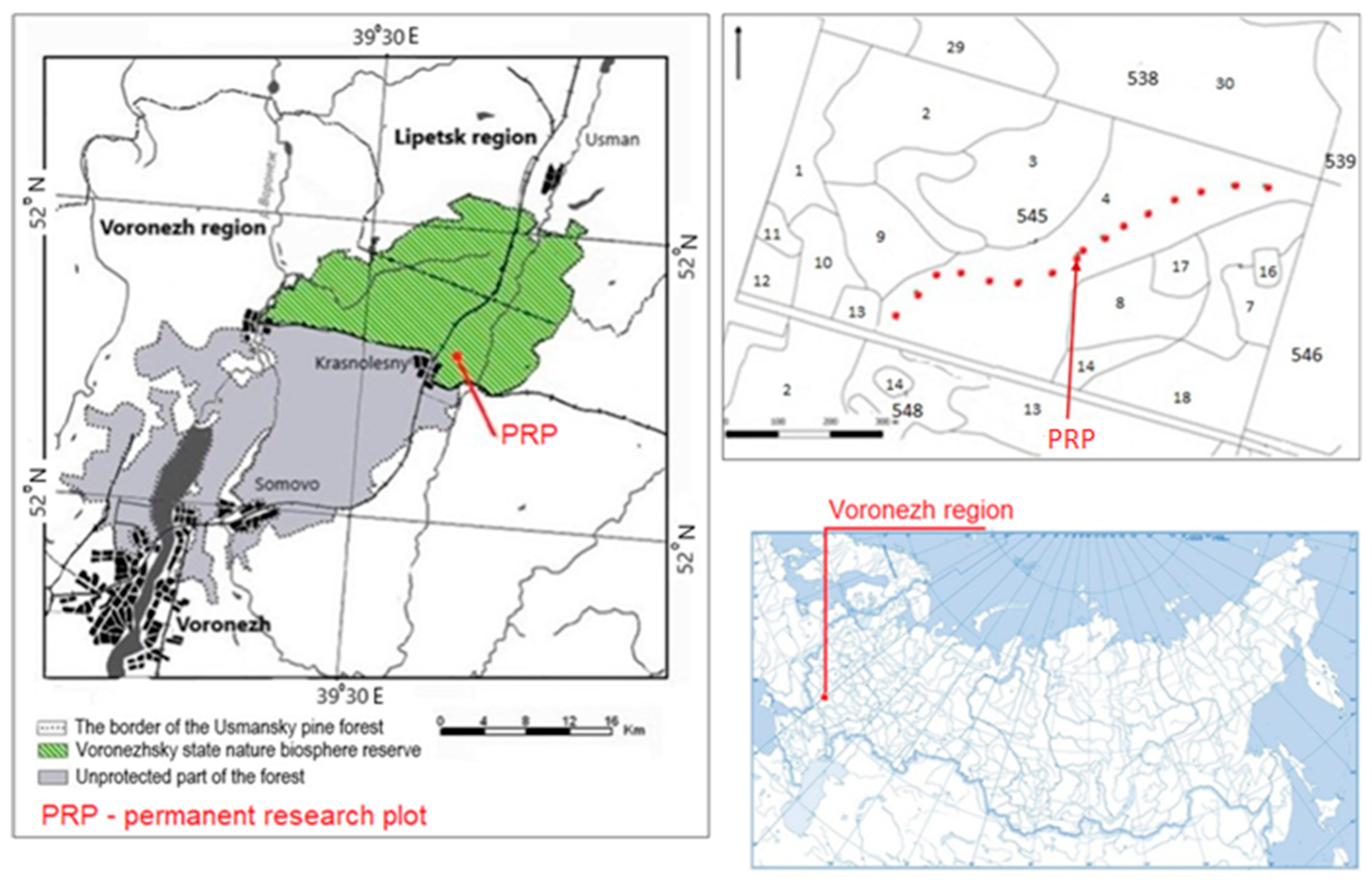 Life 12 01863 g001 Life 12 01863 g001