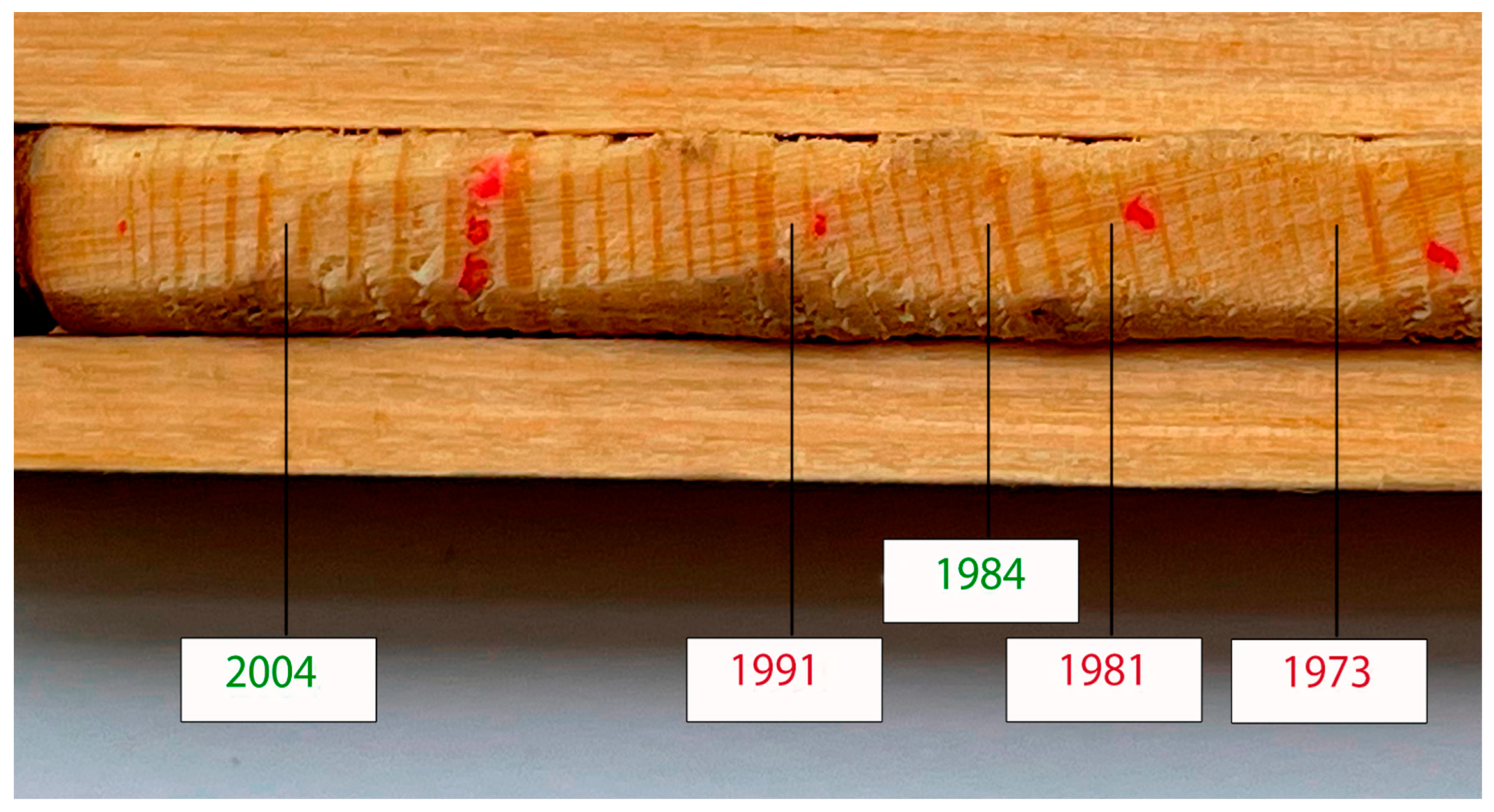 Life 12 01863 g003 Life 12 01863 g003