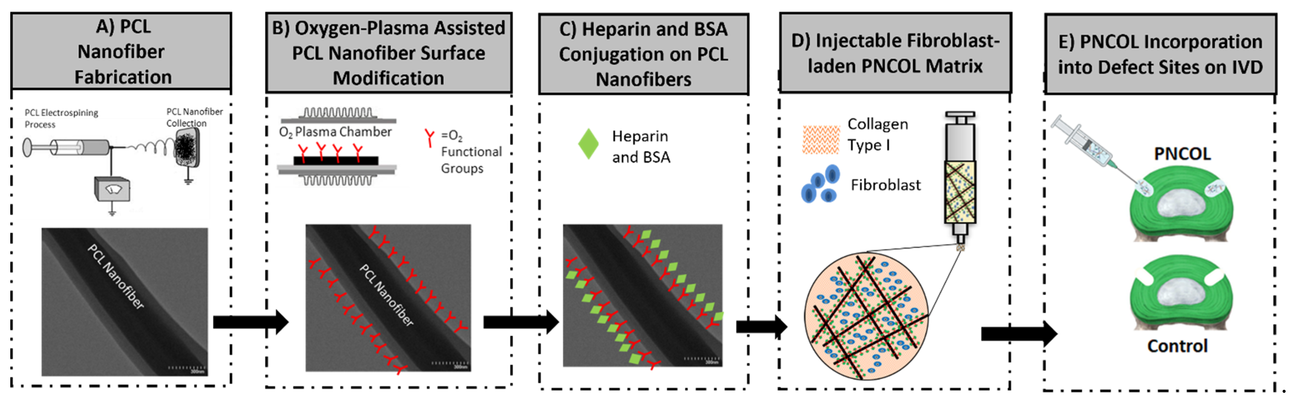 Life 12 01866 g002 Life 12 01866 g002