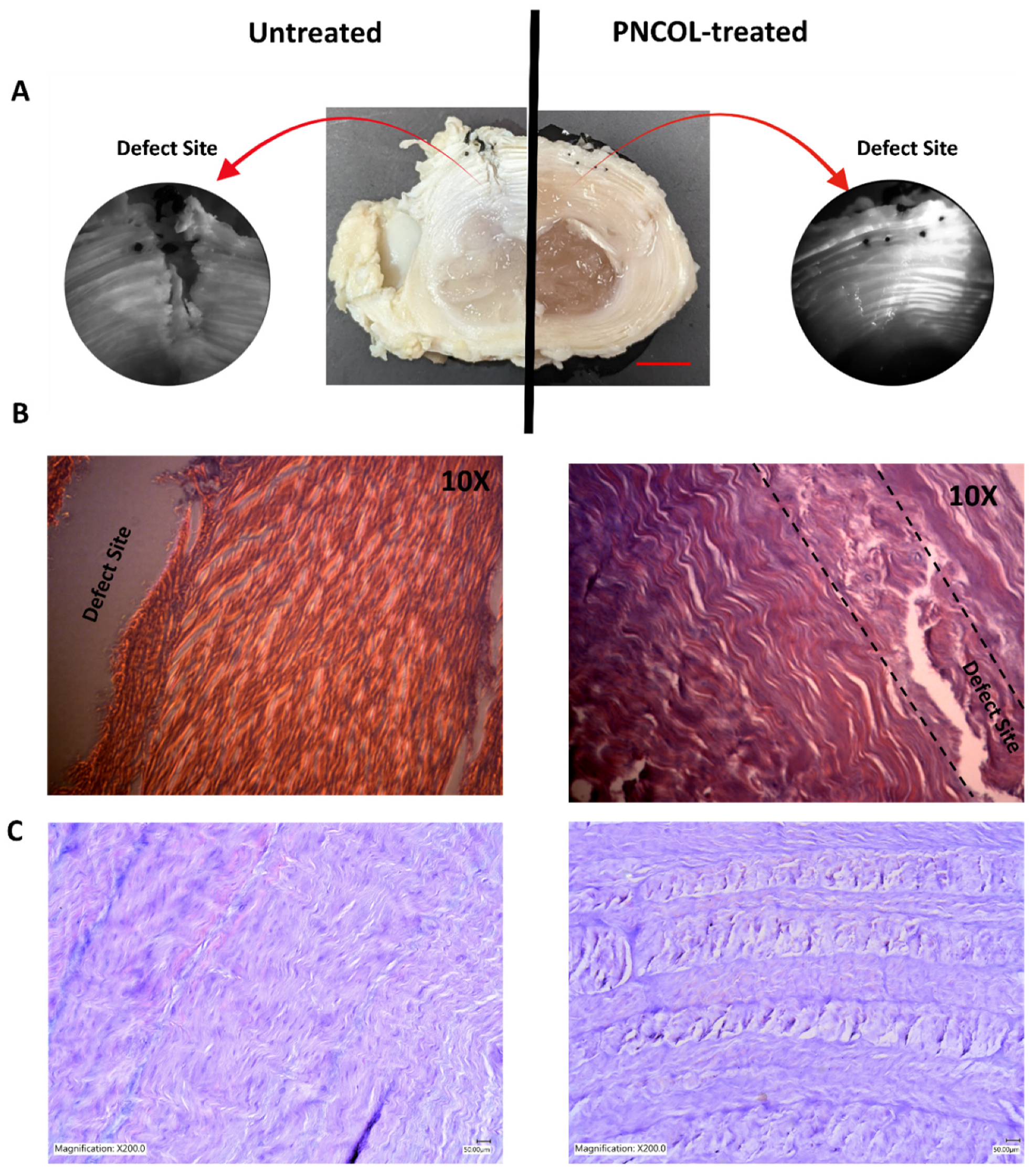 Life 12 01866 g006 Life 12 01866 g006