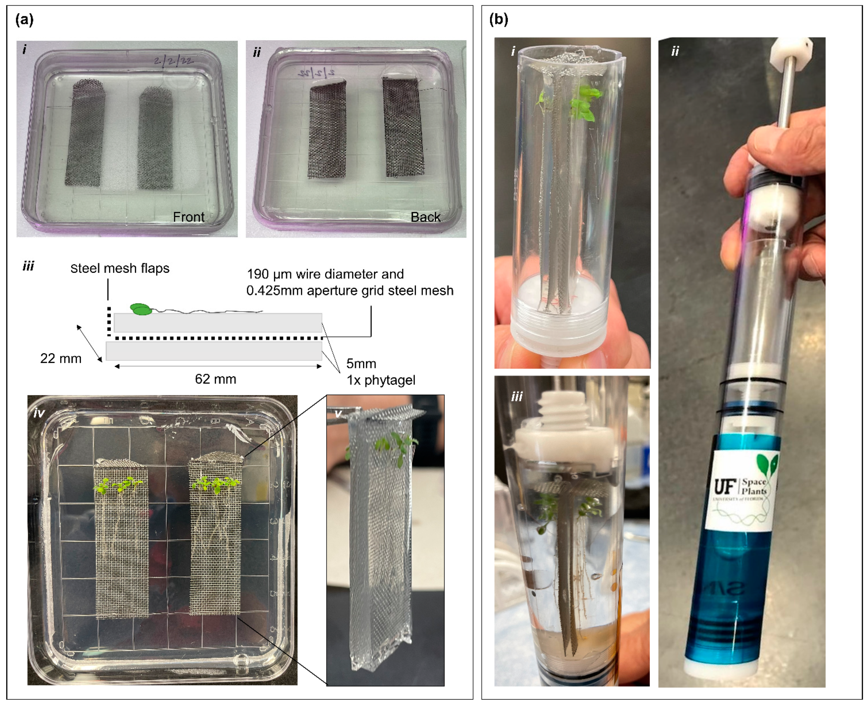 Life 12 01871 g001 Life 12 01871 g001