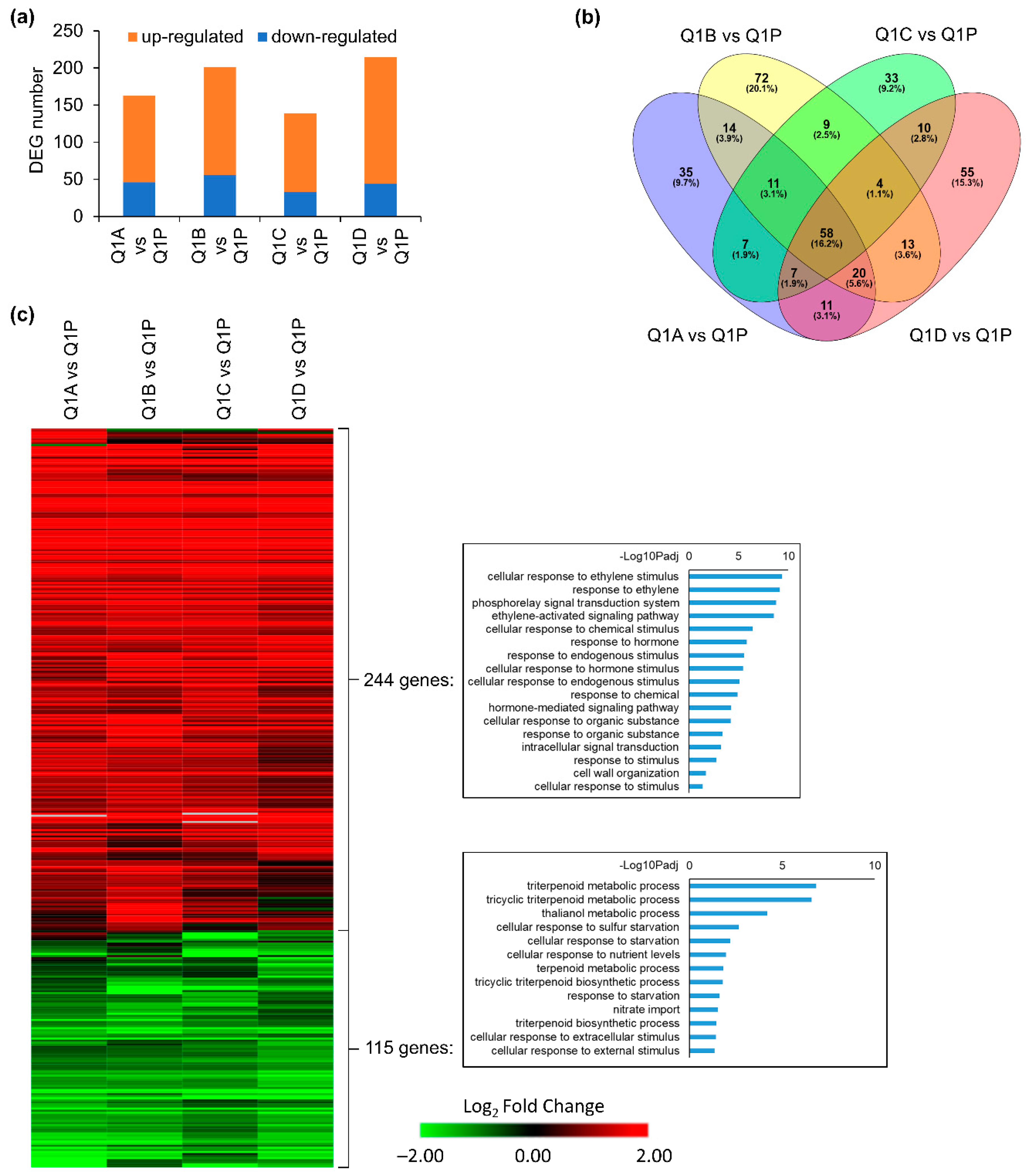 Life 12 01871 g003 Life 12 01871 g003
