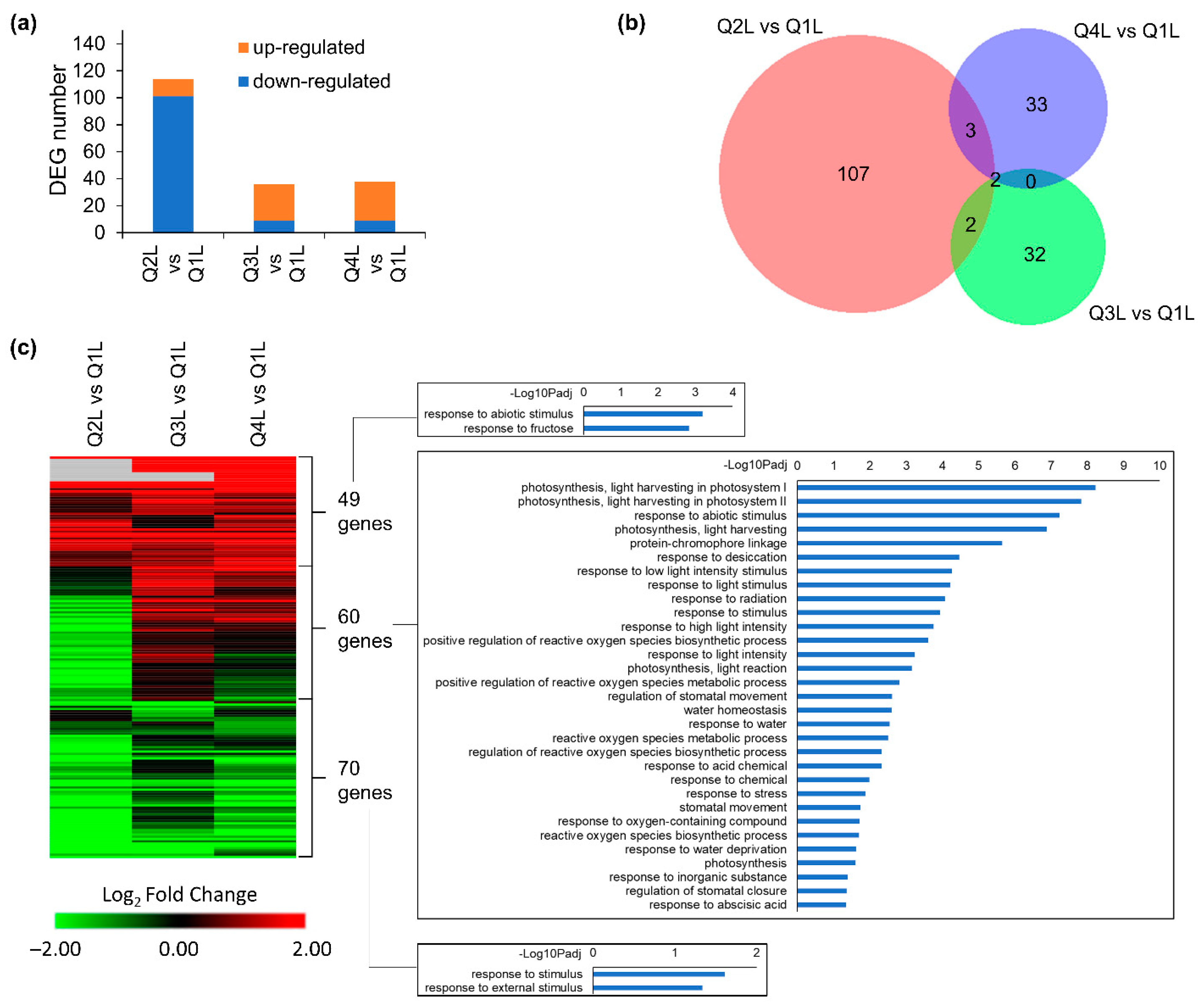 Life 12 01871 g005 Life 12 01871 g005