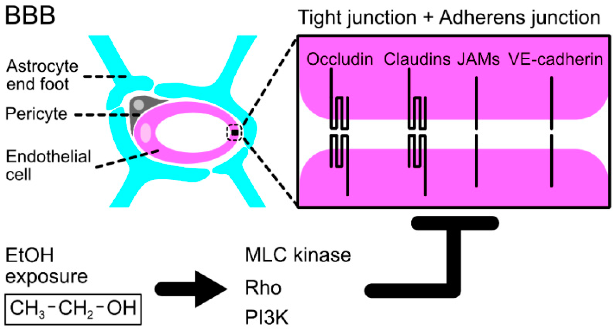 Life 12 01882 g002 Life 12 01882 g002