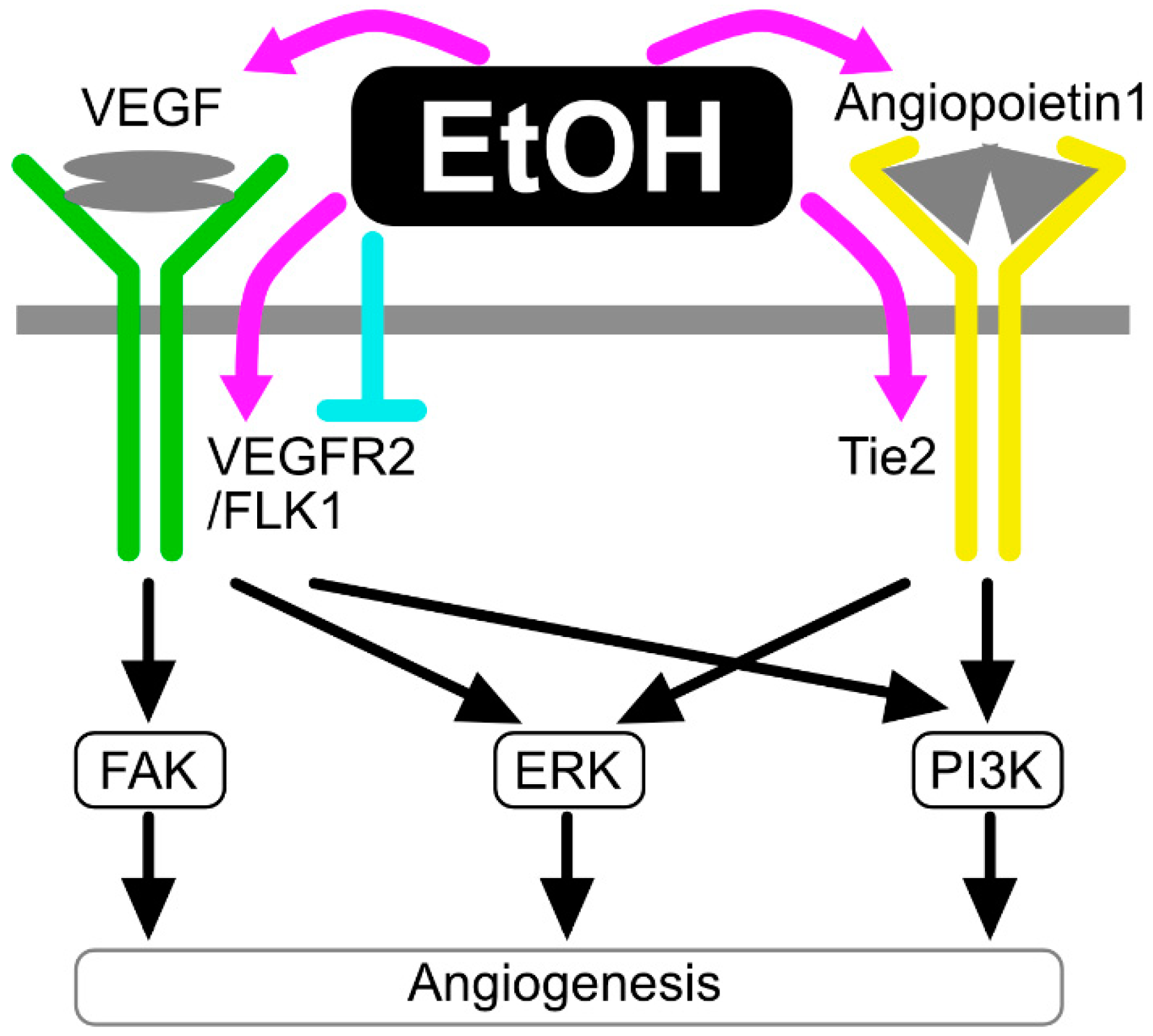 Life 12 01882 g003 Life 12 01882 g003