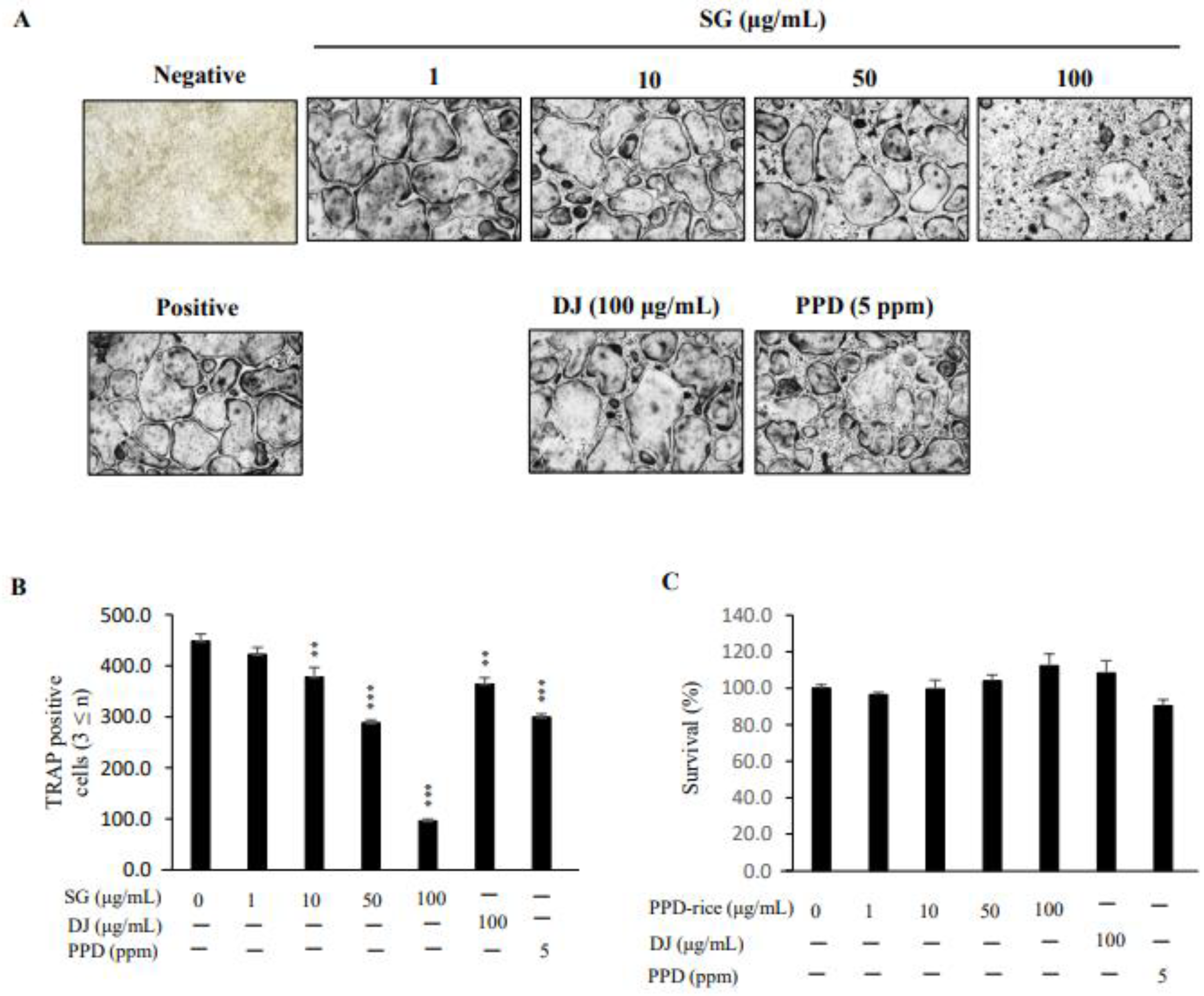 Life 12 01886 g002 Life 12 01886 g002