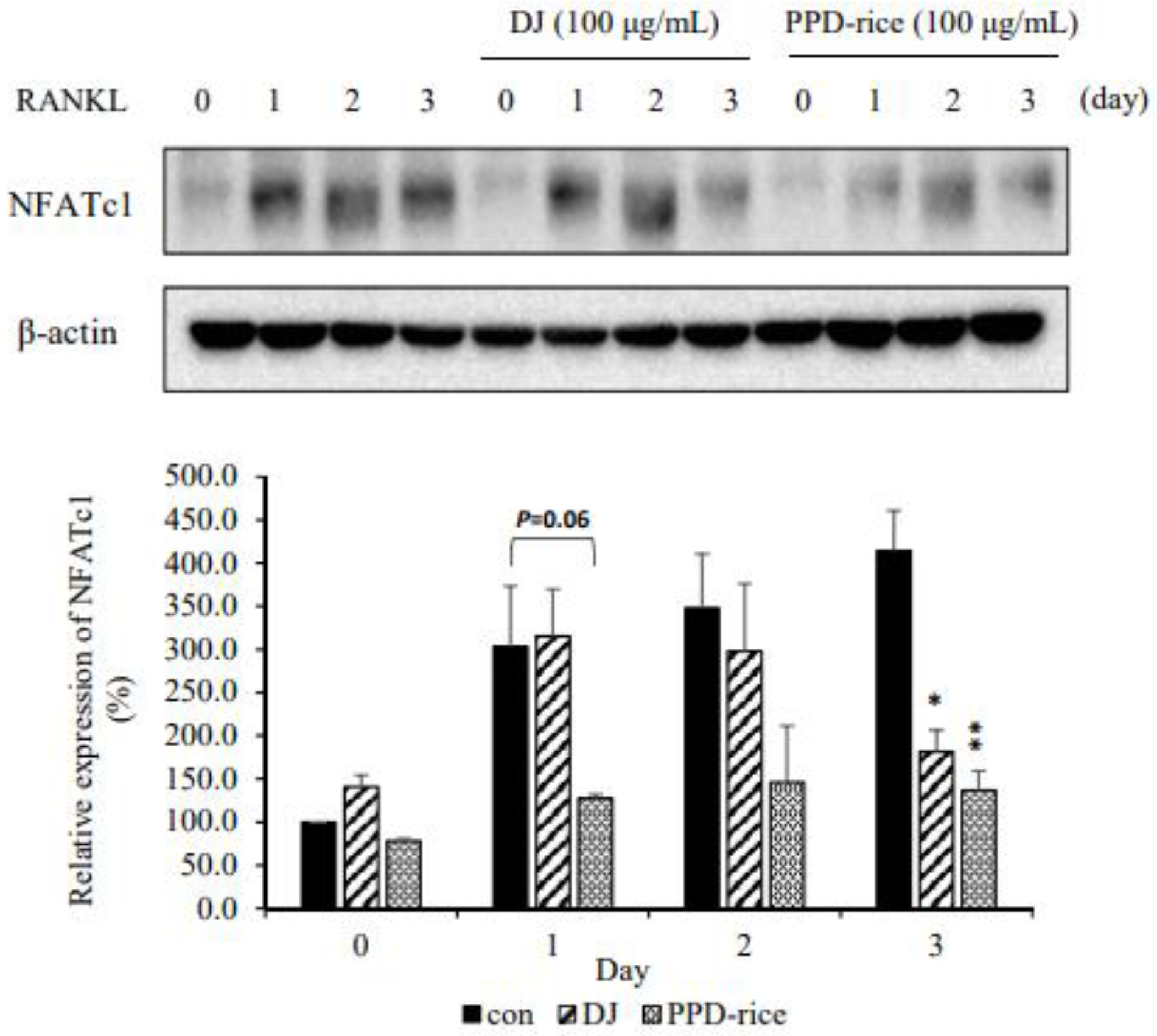 Life 12 01886 g004 Life 12 01886 g004