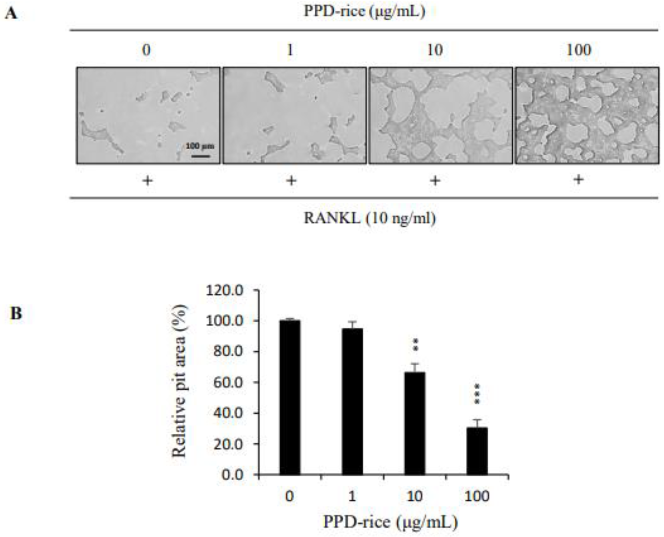 Life 12 01886 g005 Life 12 01886 g005