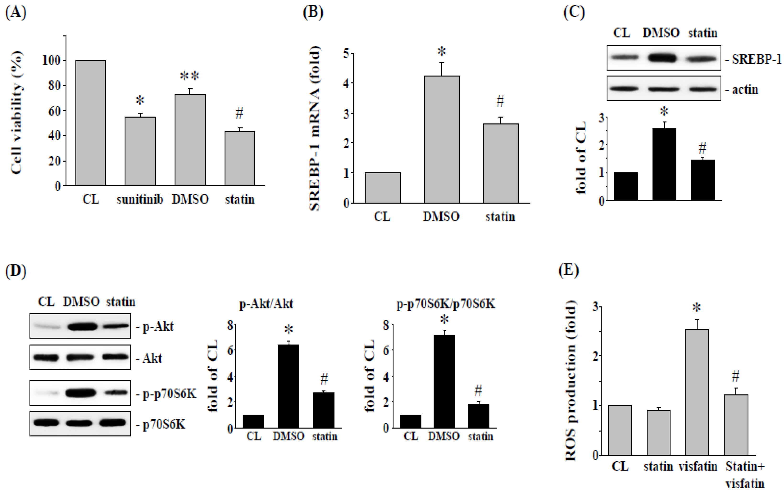 Life 12 01890 g005 Life 12 01890 g005