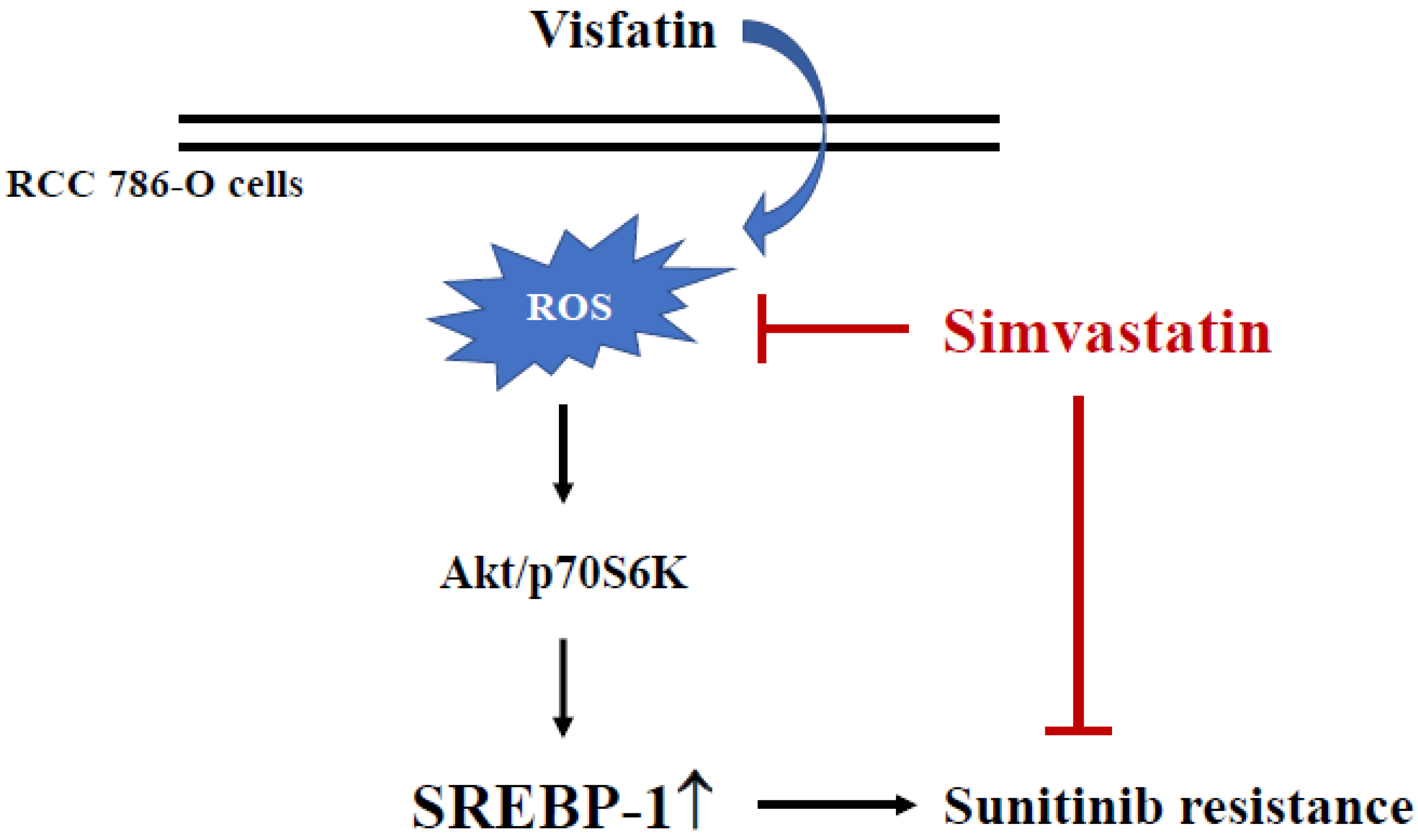 Life 12 01890 g006 Life 12 01890 g006