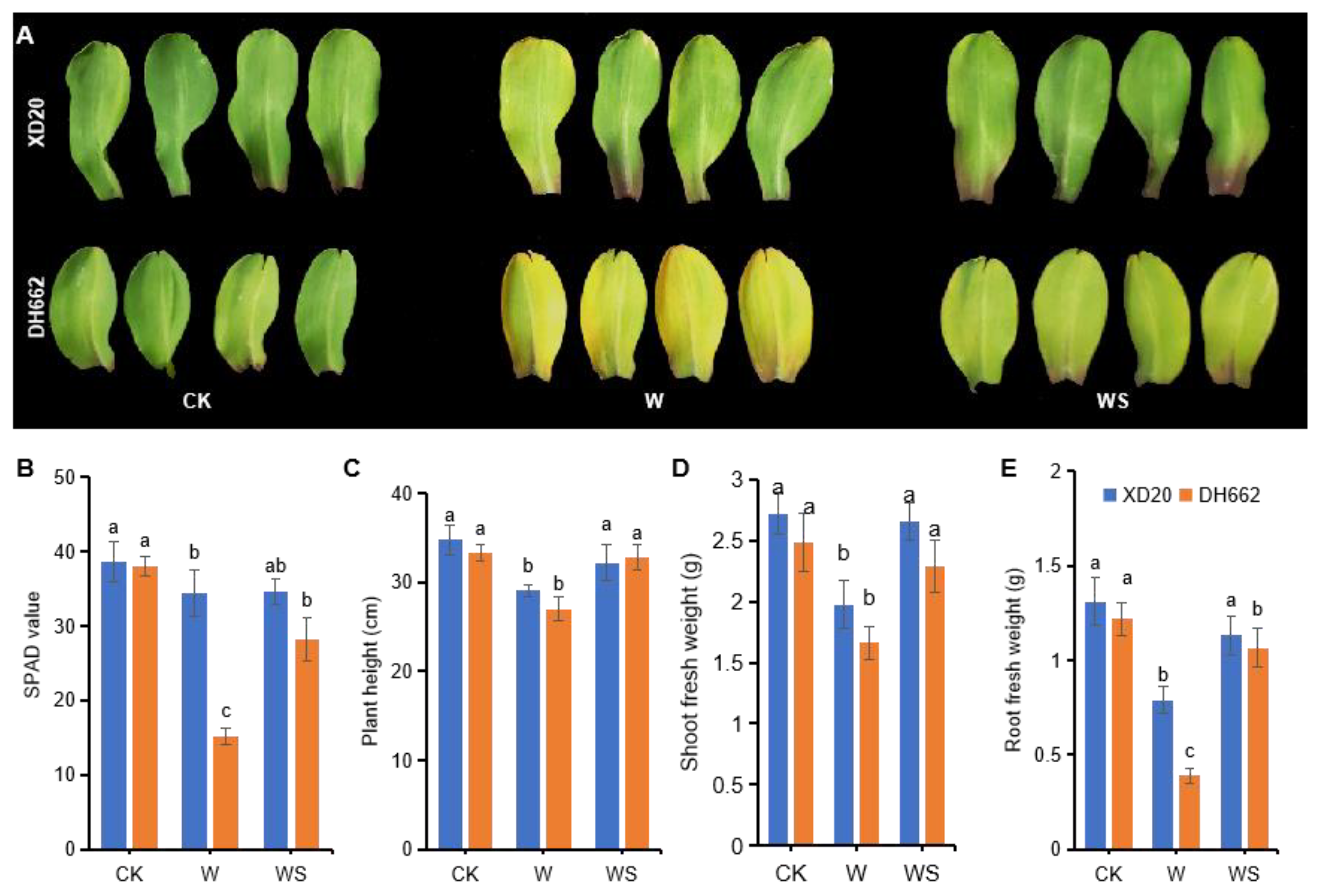 Life 12 01921 g001 Life 12 01921 g001