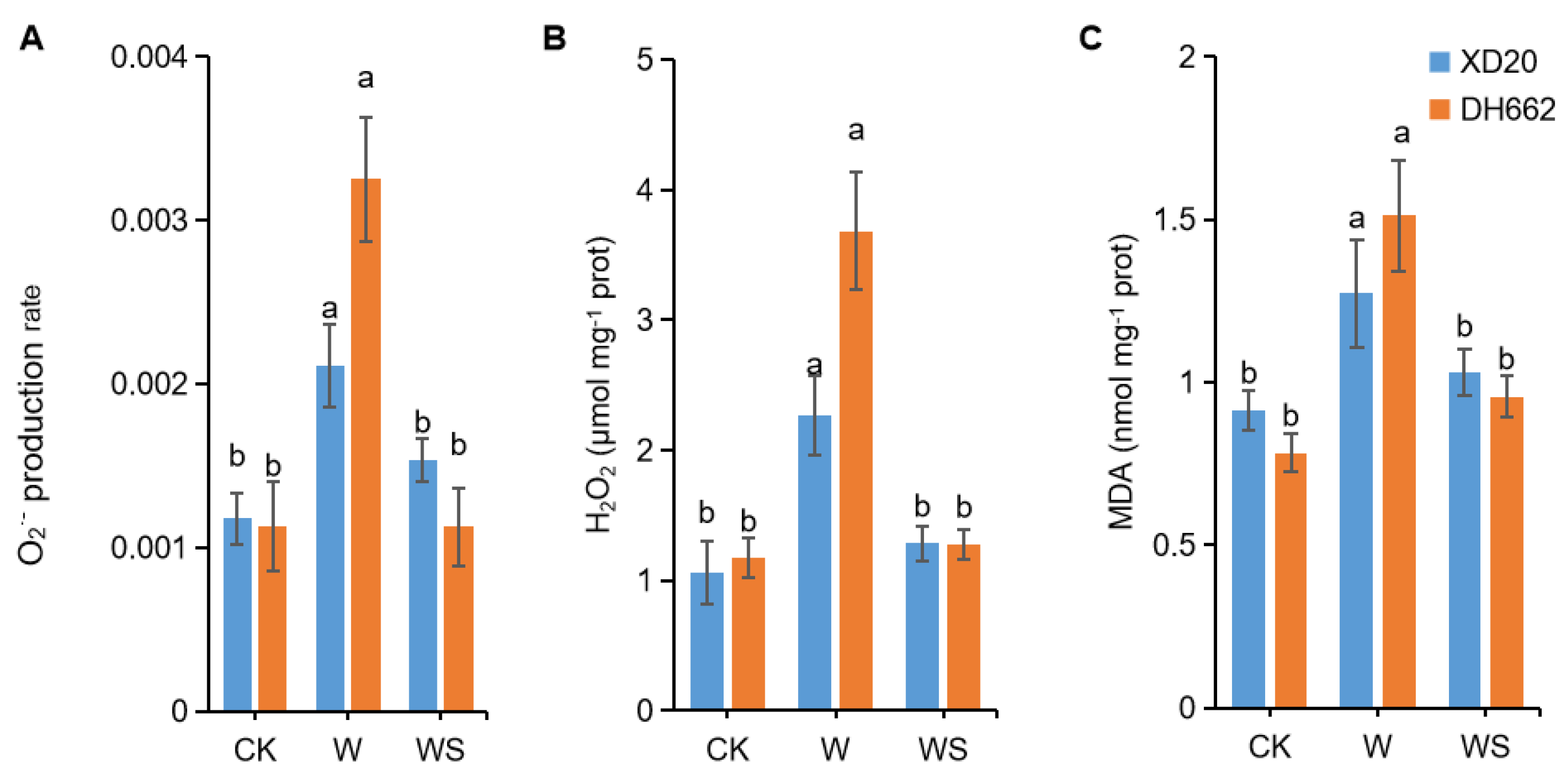 Life 12 01921 g002 Life 12 01921 g002