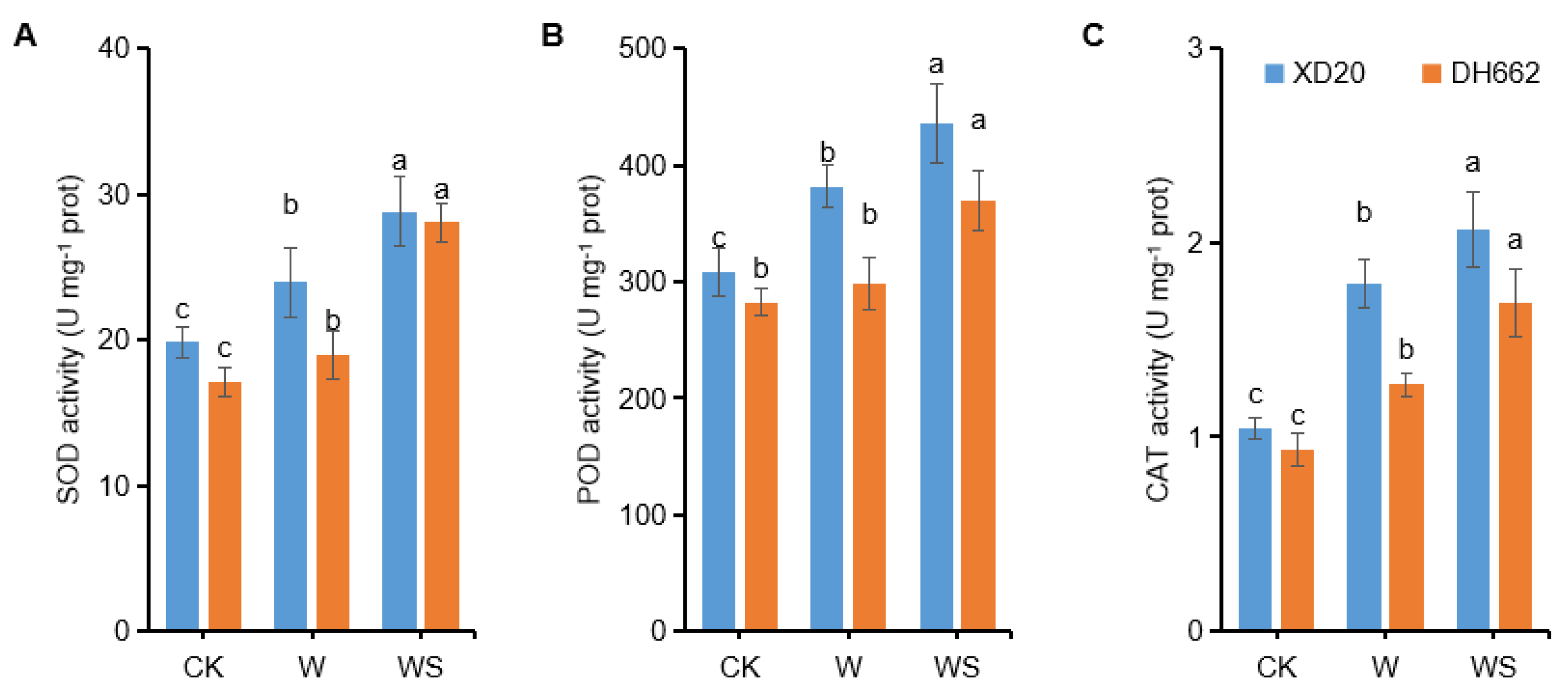 Life 12 01921 g003 Life 12 01921 g003