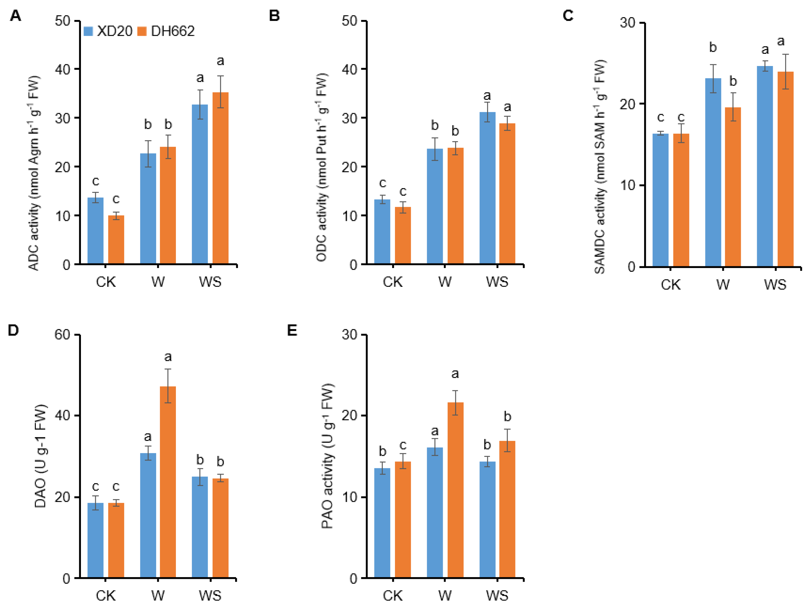 Life 12 01921 g008 Life 12 01921 g008