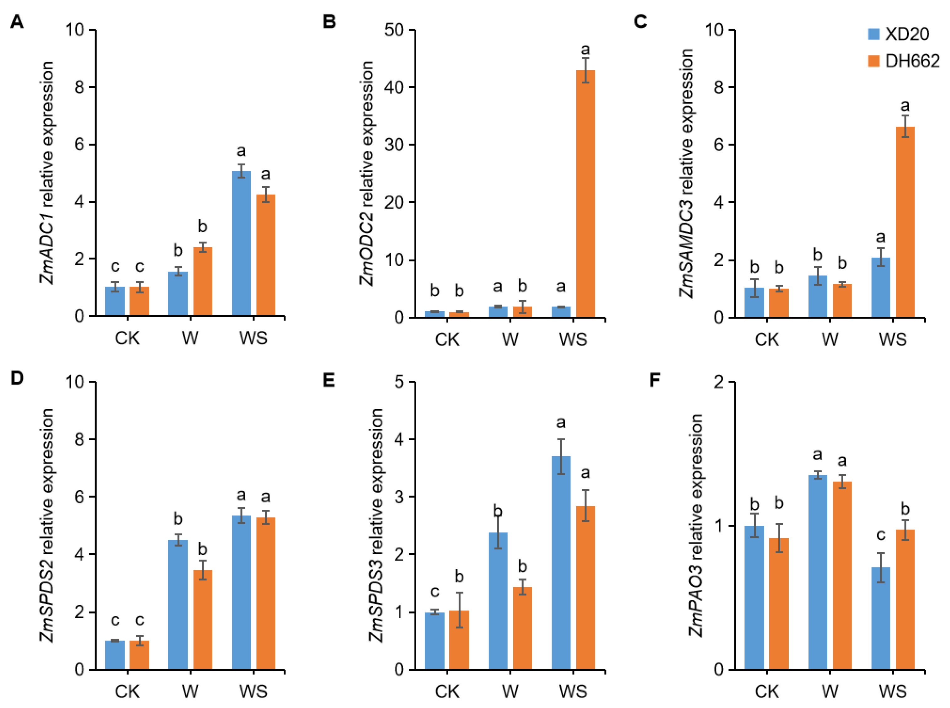 Life 12 01921 g009 Life 12 01921 g009