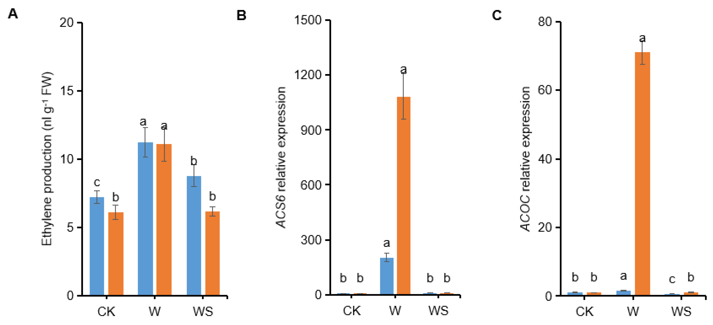 Life 12 01921 g010 Life 12 01921 g010