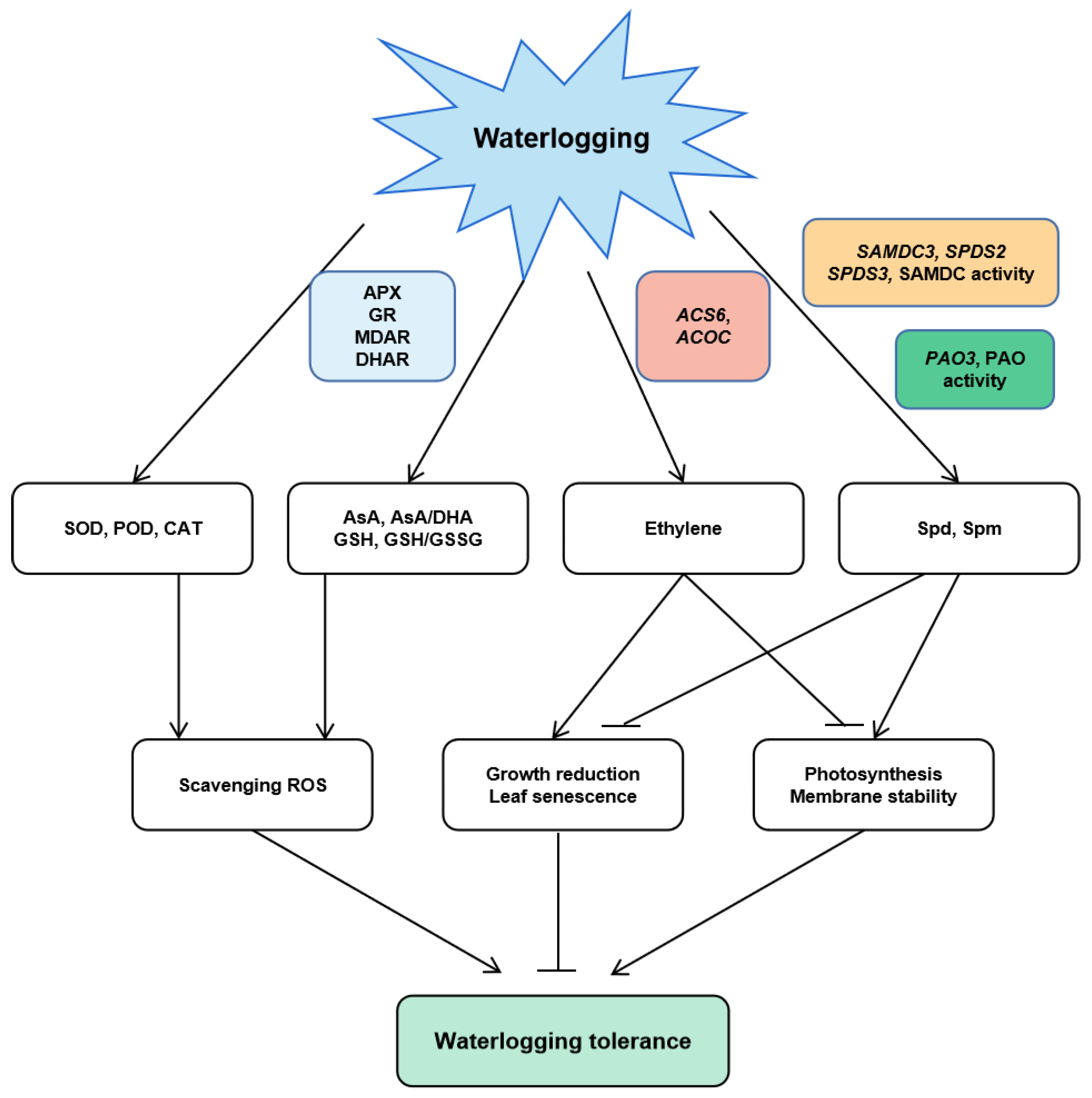 Life 12 01921 g011 Life 12 01921 g011