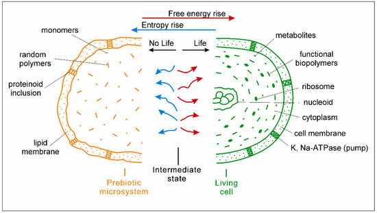 Role of Stress in the Origin of Life