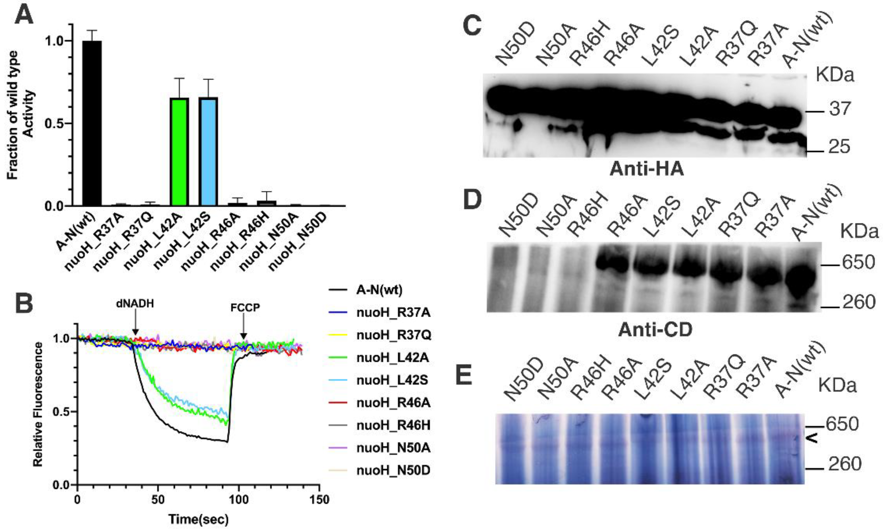Life 12 01934 g003 Life 12 01934 g003