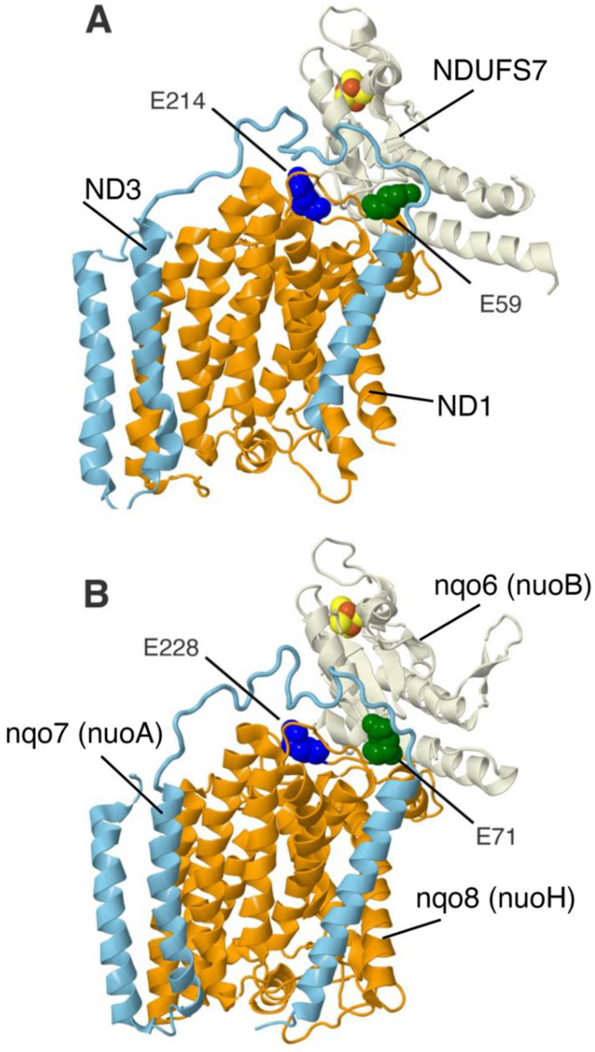 Life 12 01934 g004 Life 12 01934 g004