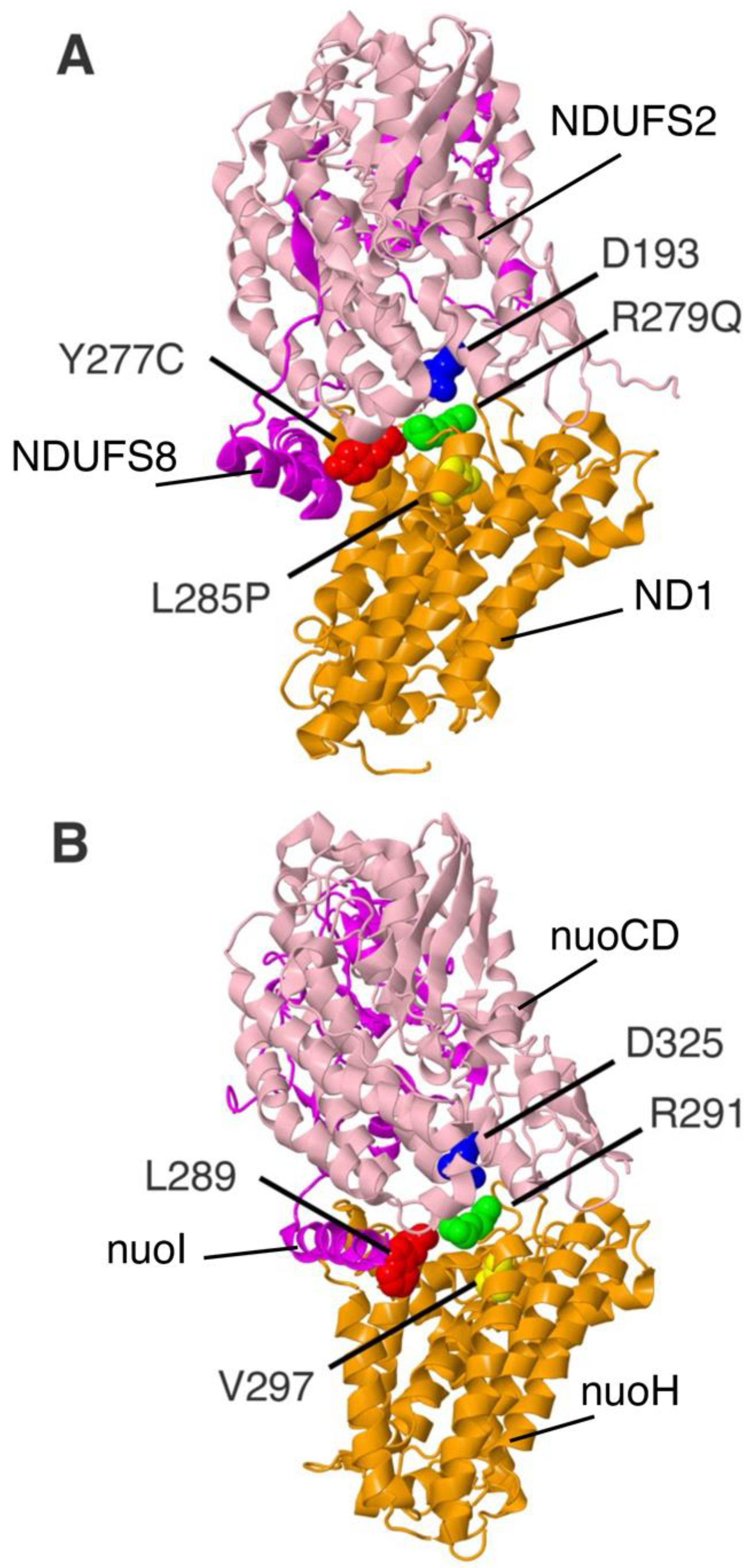 Life 12 01934 g006 Life 12 01934 g006