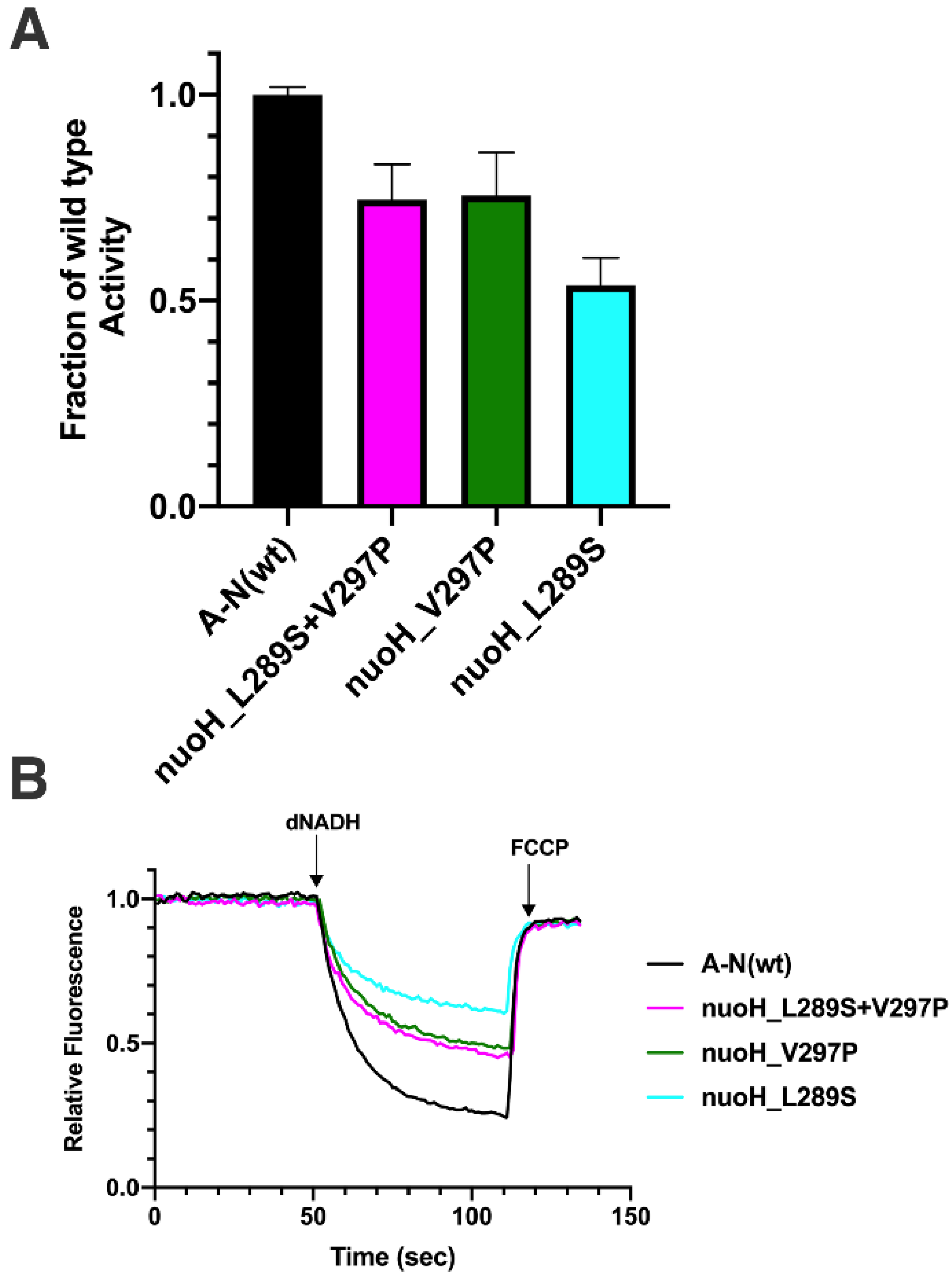 Life 12 01934 g007 Life 12 01934 g007