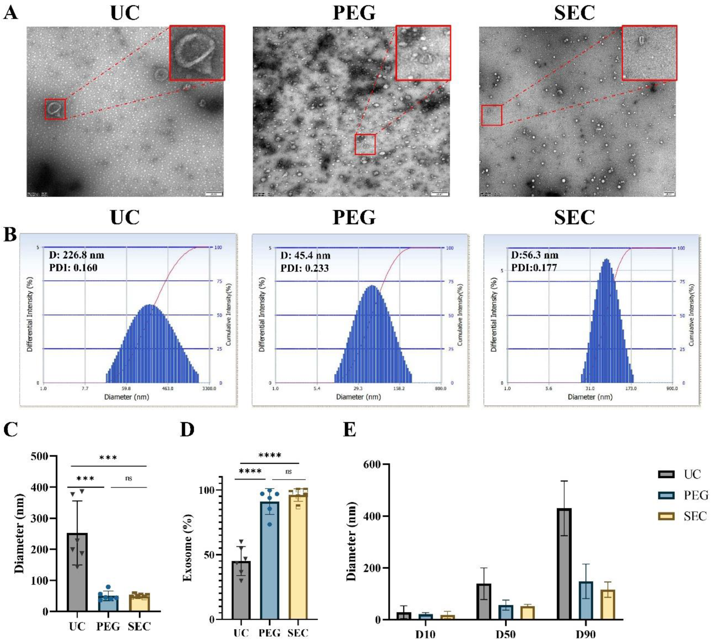 Life 12 01942 g002 Life 12 01942 g002