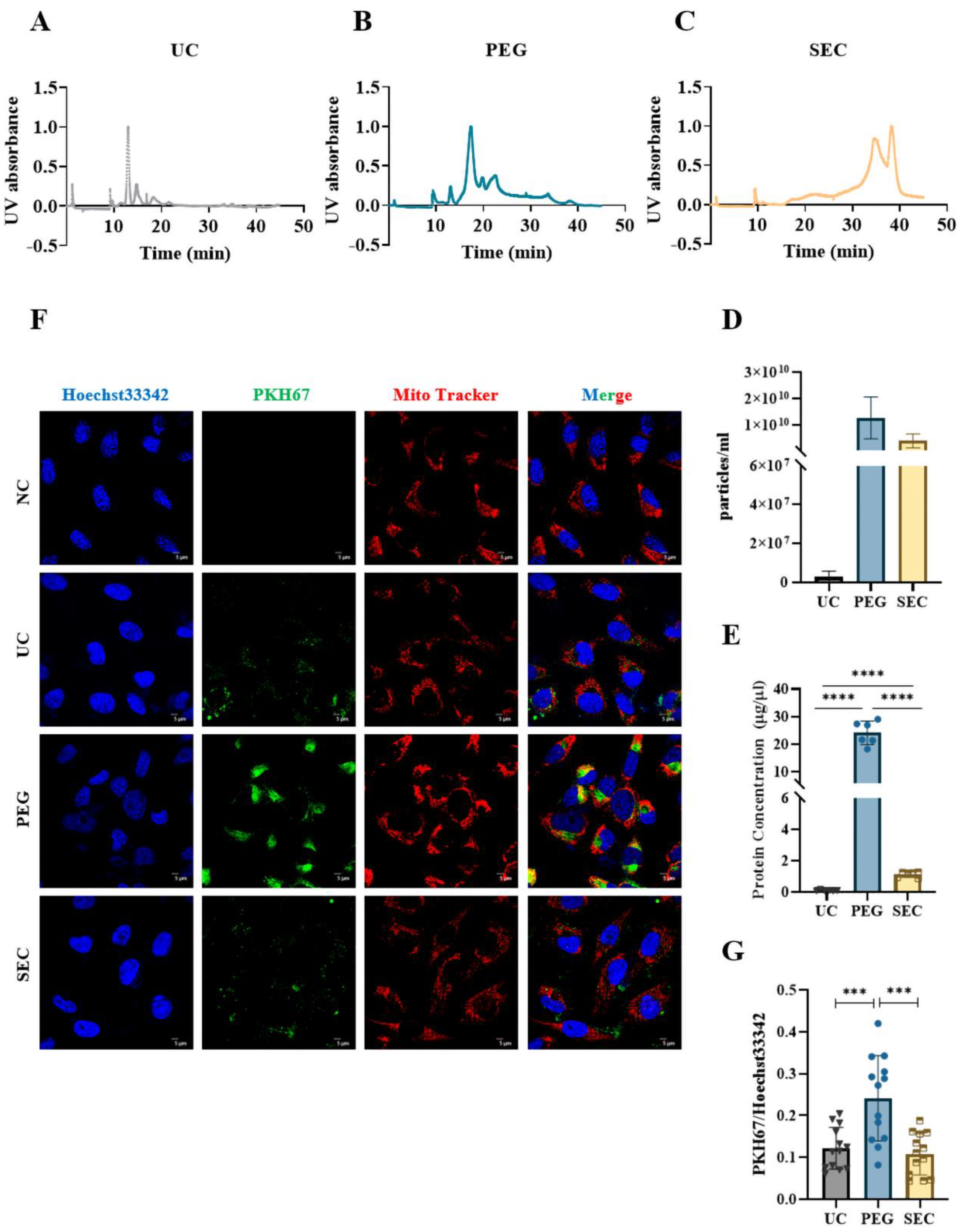 Life 12 01942 g004 Life 12 01942 g004