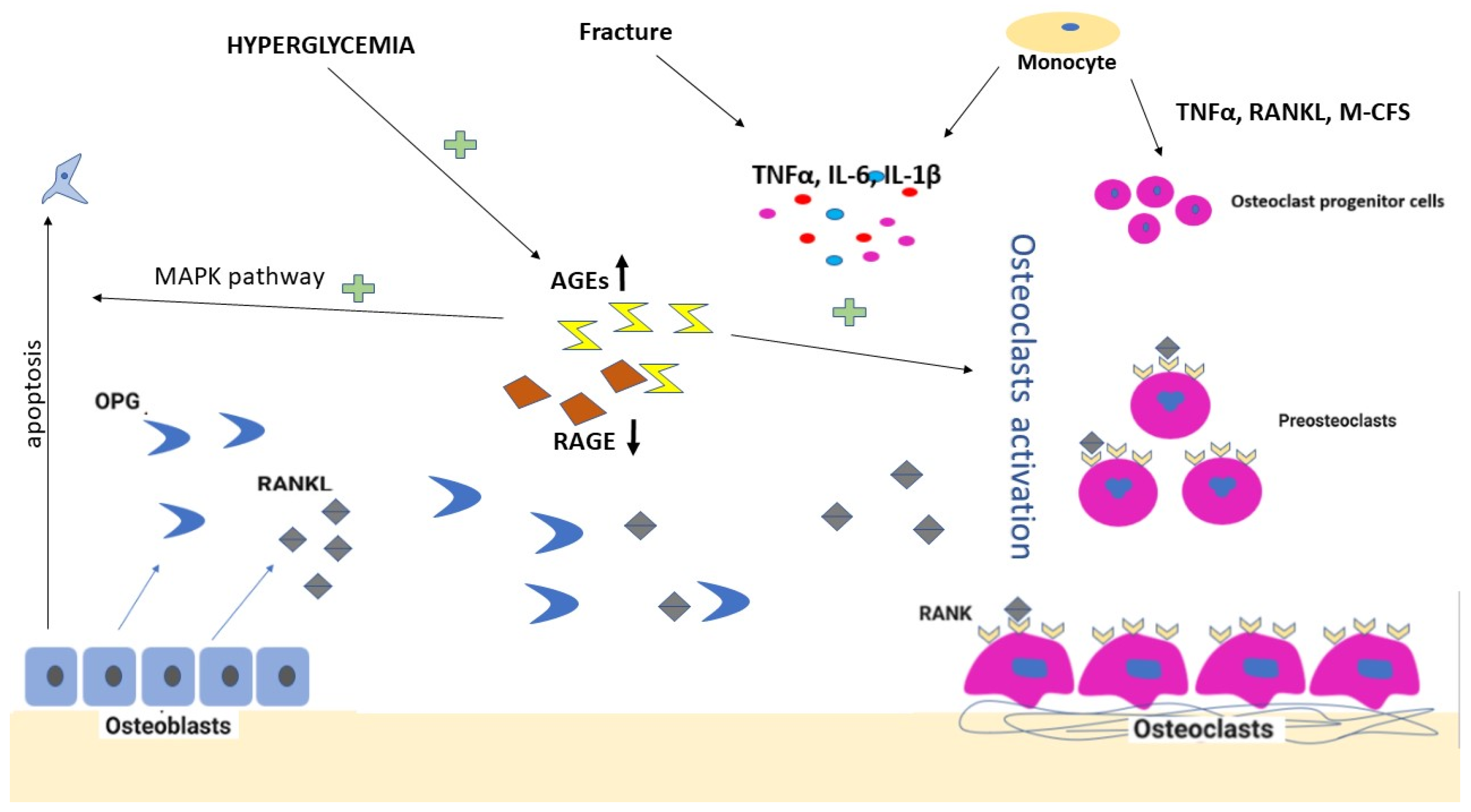 Life 12 01944 g001 Life 12 01944 g001