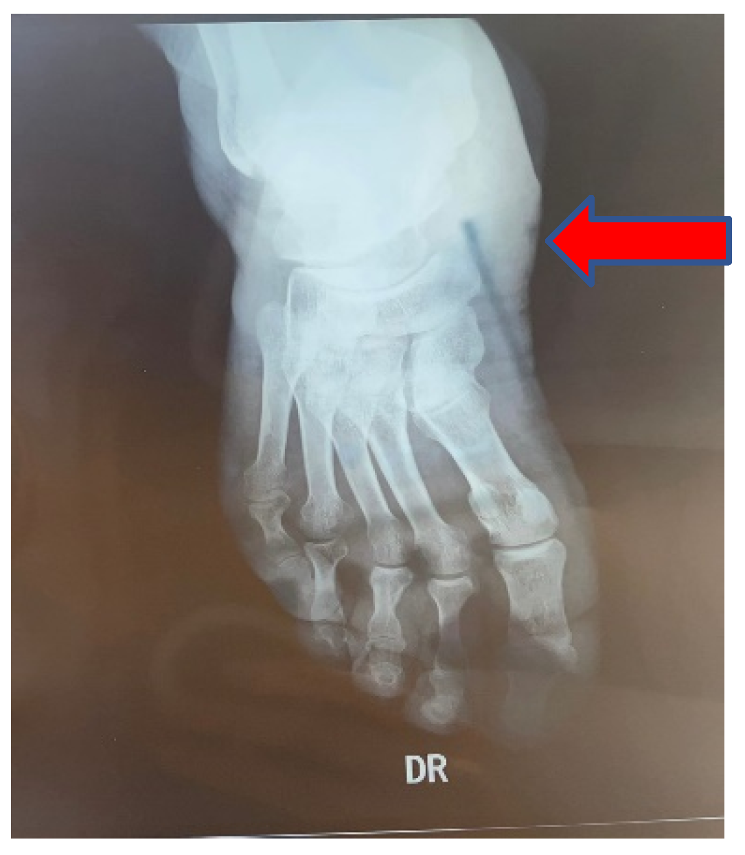 Life 12 01944 g003 Life 12 01944 g003