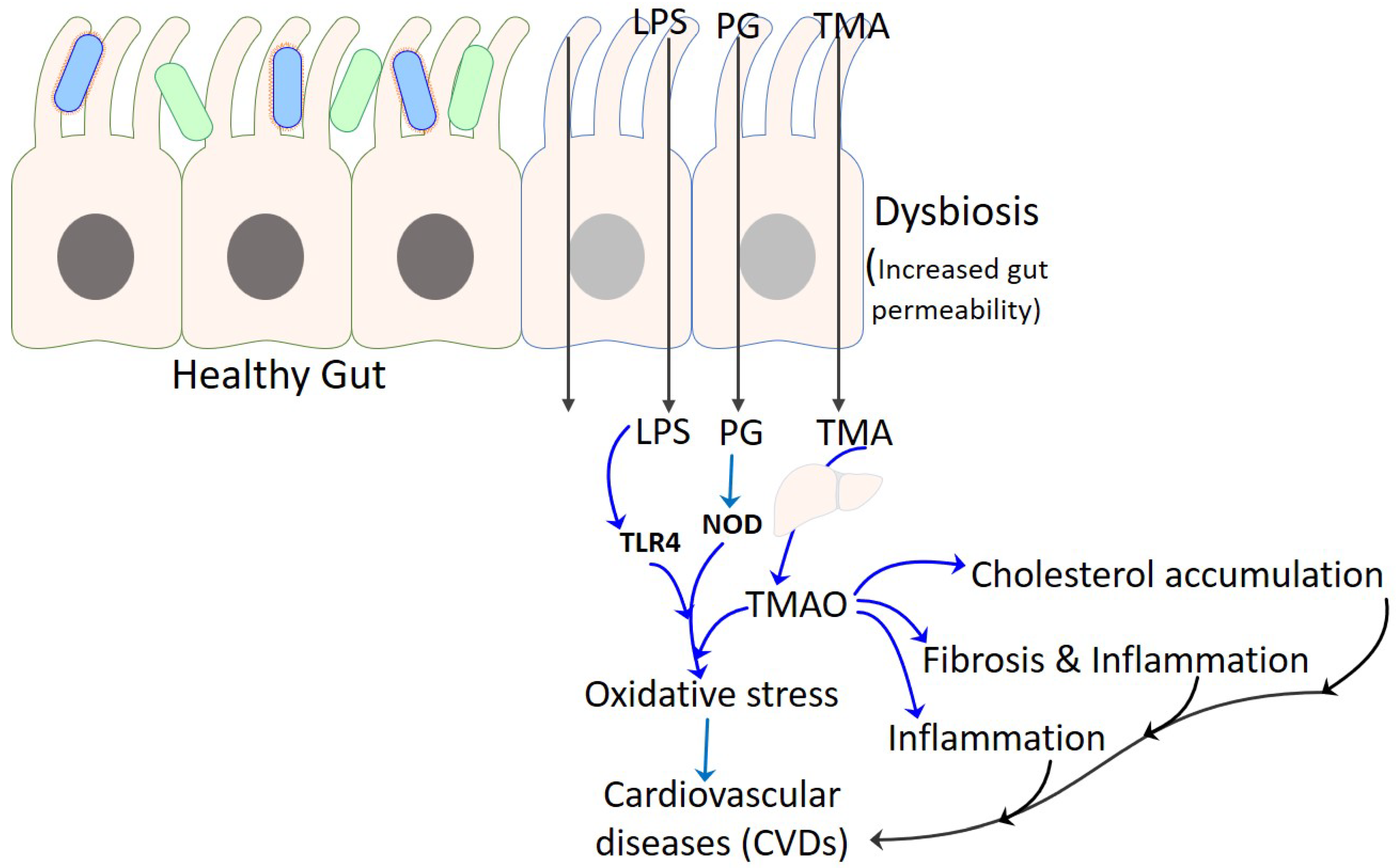 Life 12 01986 g002 Life 12 01986 g002