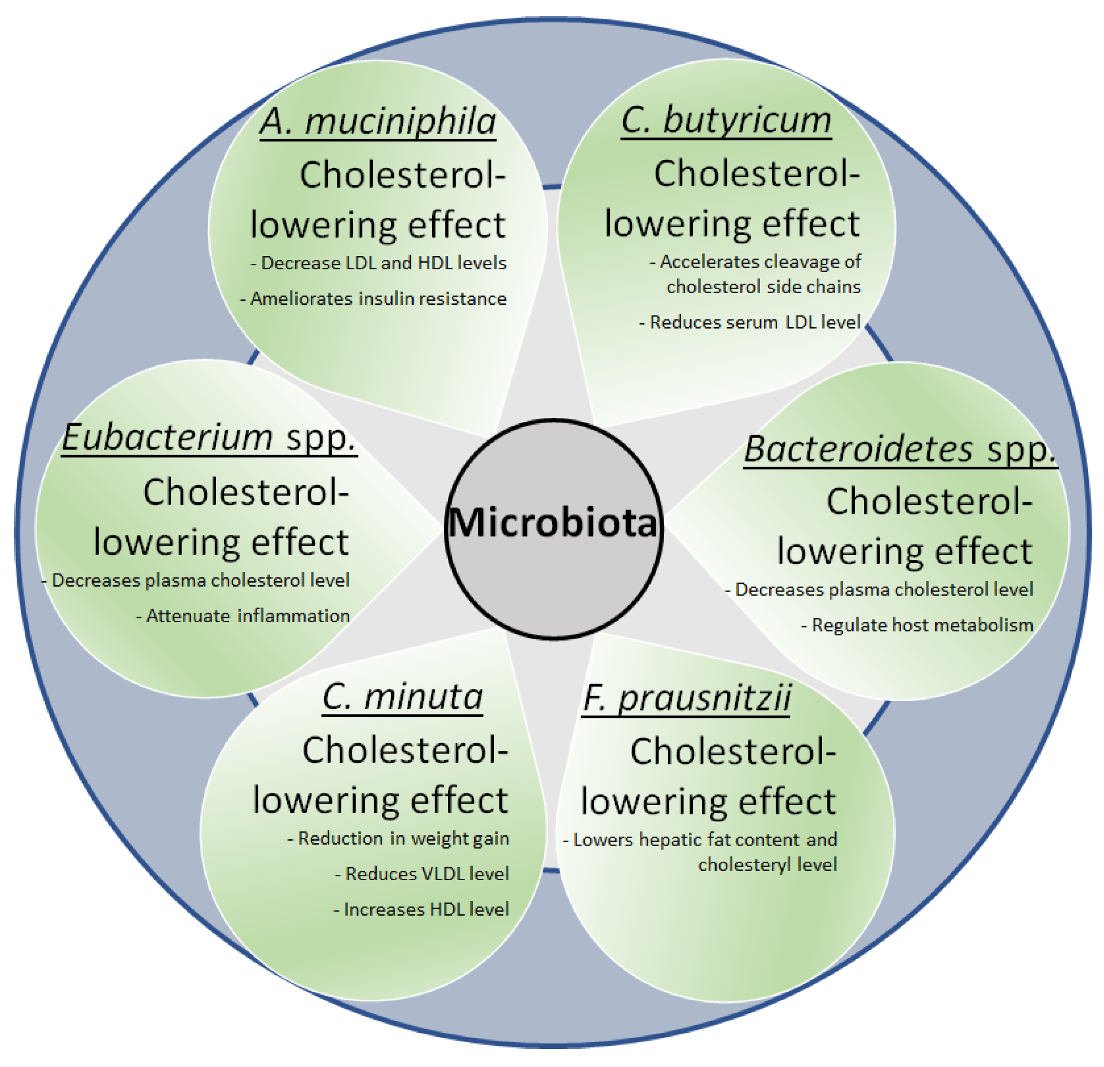Life 12 01986 g003 Life 12 01986 g003