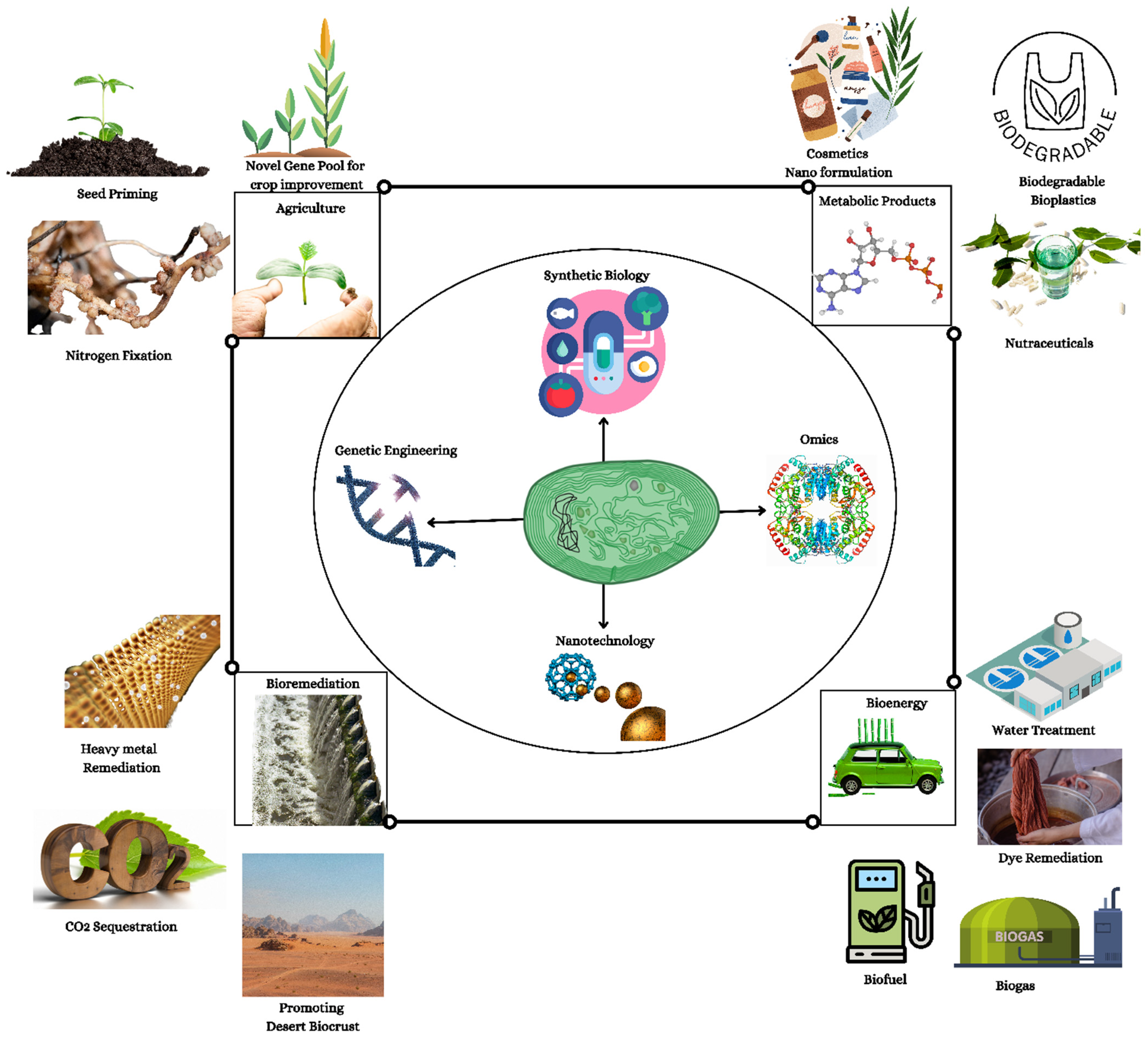 Life 12 02013 g001 Life 12 02013 g001