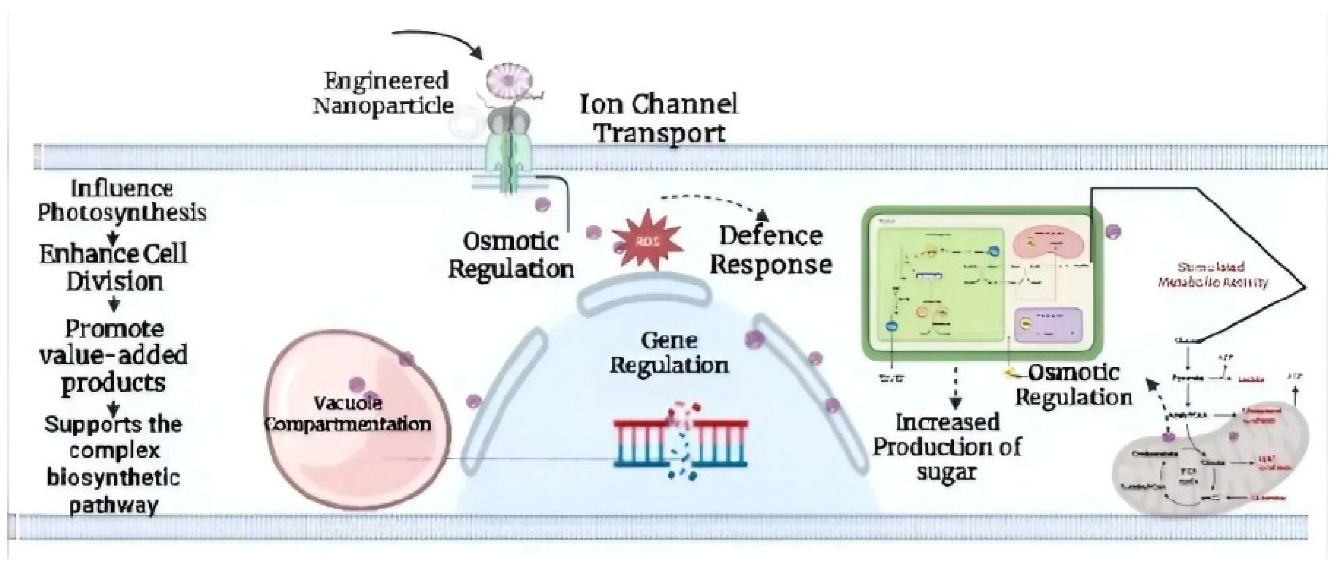 Life 12 02013 g003 Life 12 02013 g003