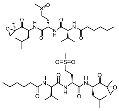 Life 12 02013 i010 Life 12 02013 i010