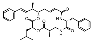 Life 12 02013 i013 Life 12 02013 i013