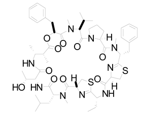 Life 12 02013 i017 Life 12 02013 i017