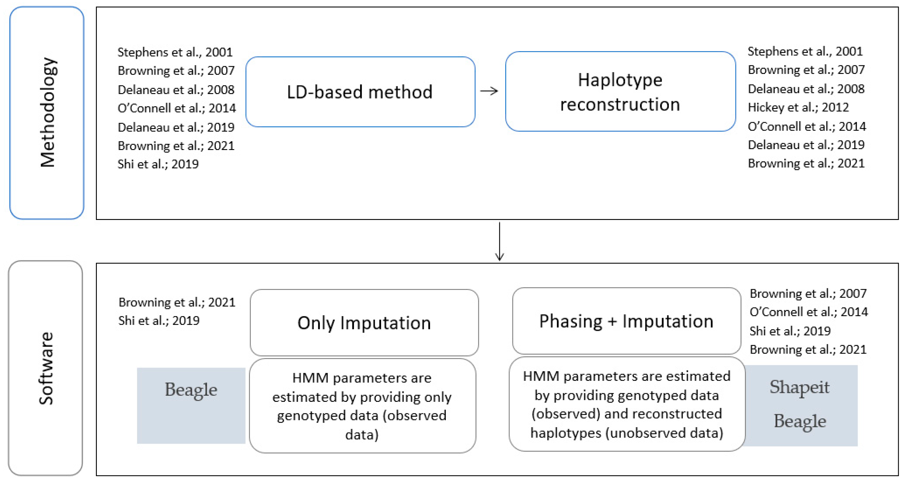 A Pipeline for Phasing and Genotype Imputation on Mixed Human Data ...